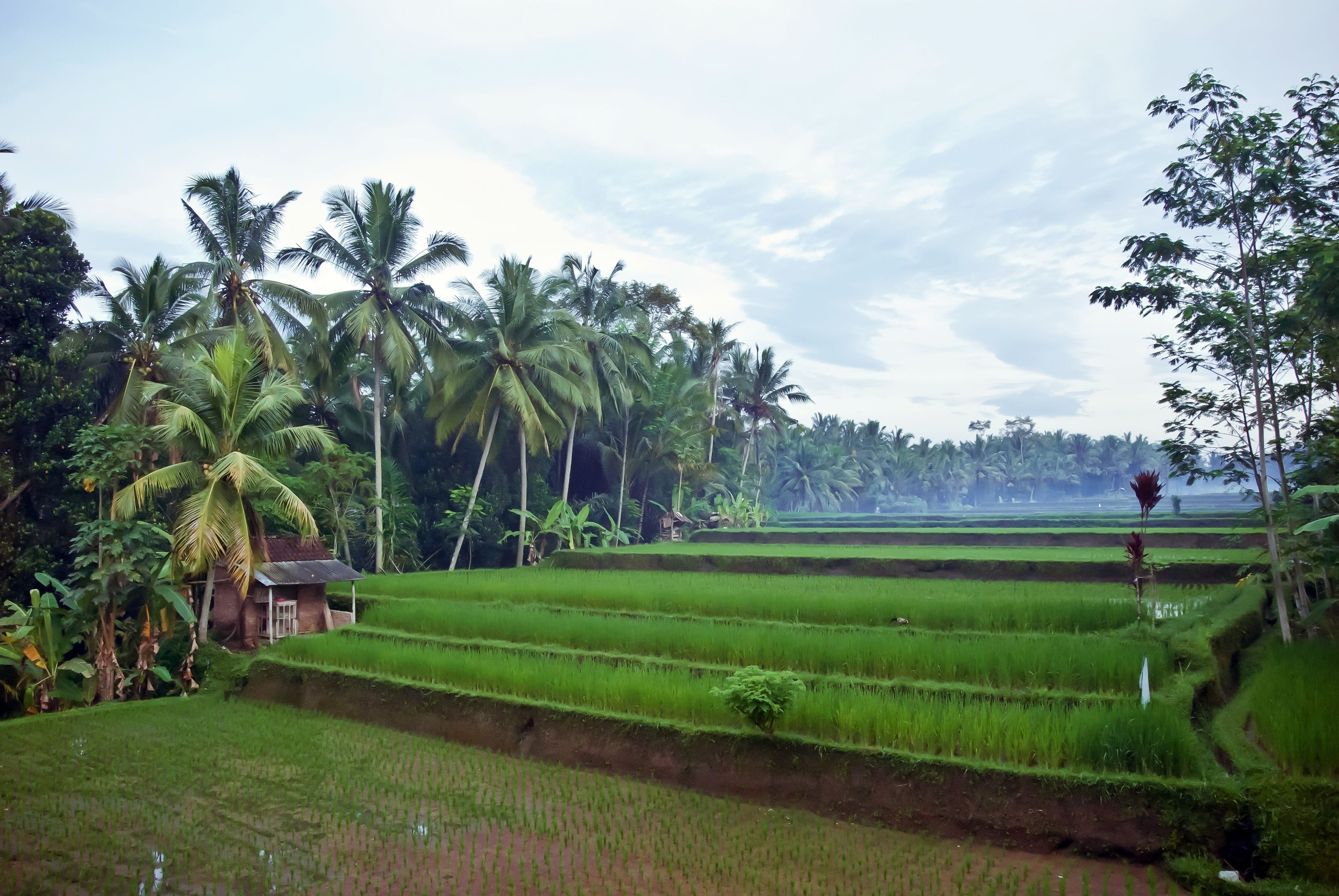 Junjungan Suite Villa