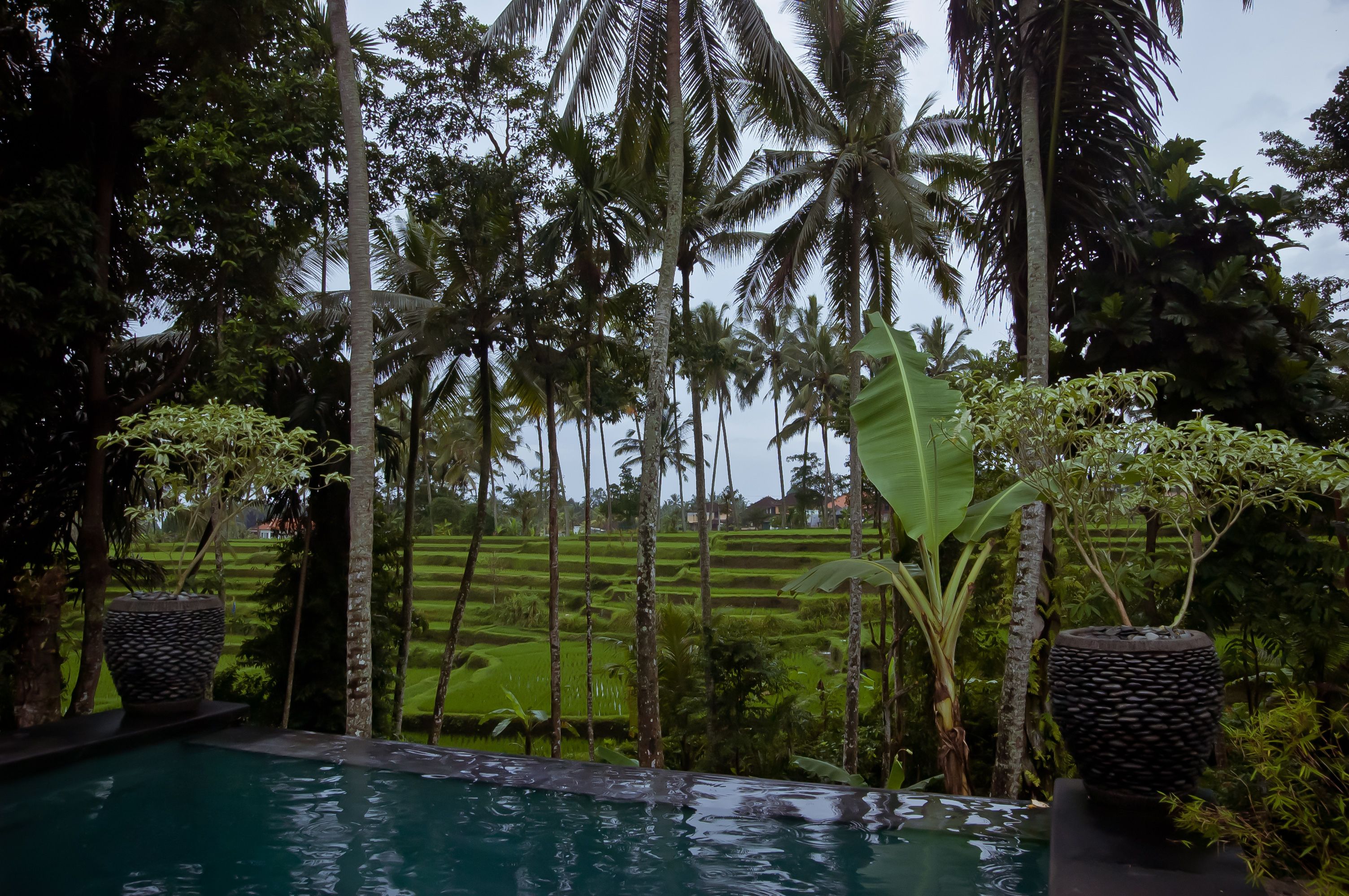 Junjungan Suite Villa