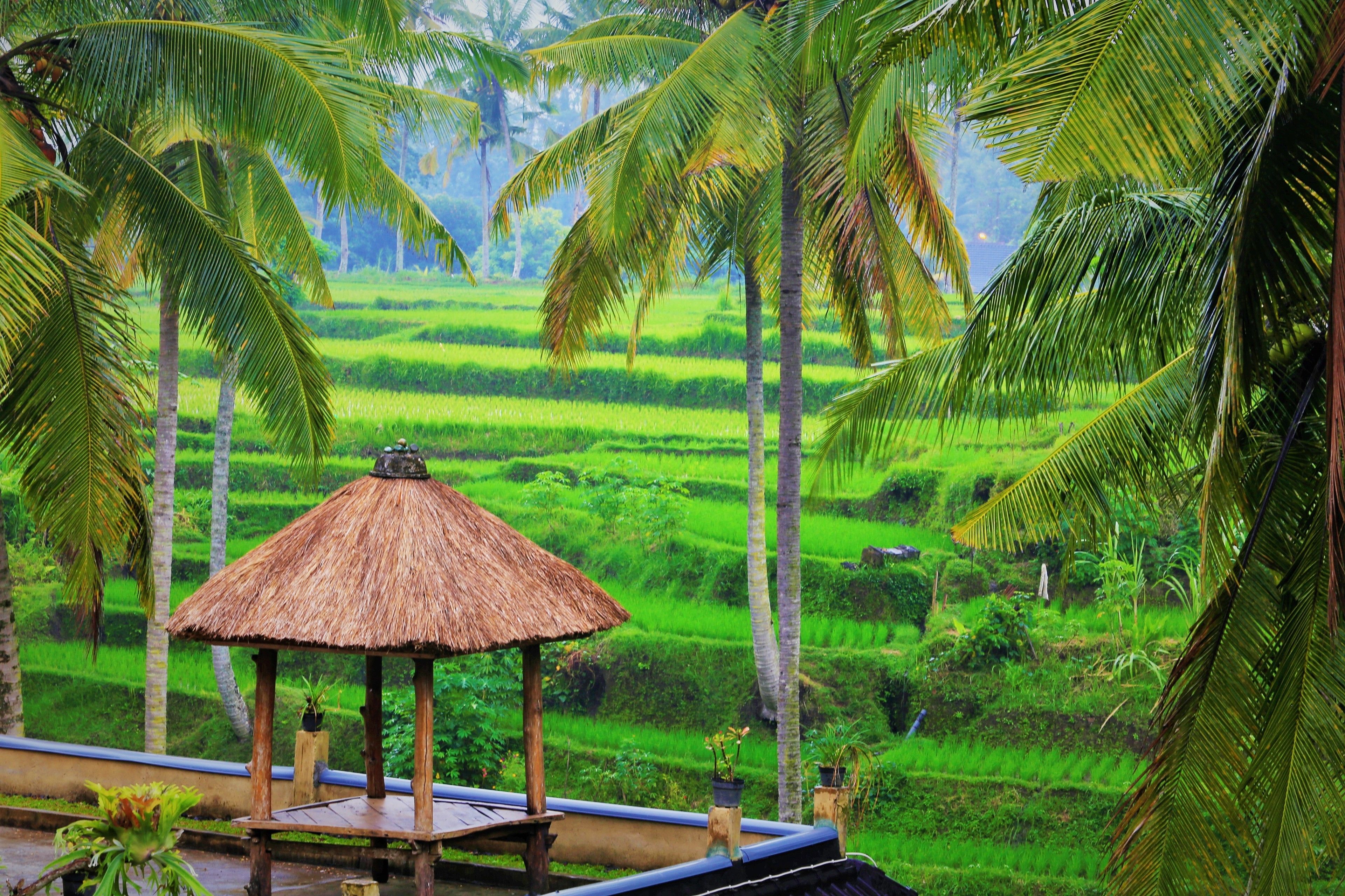 Junjungan Suite Villa