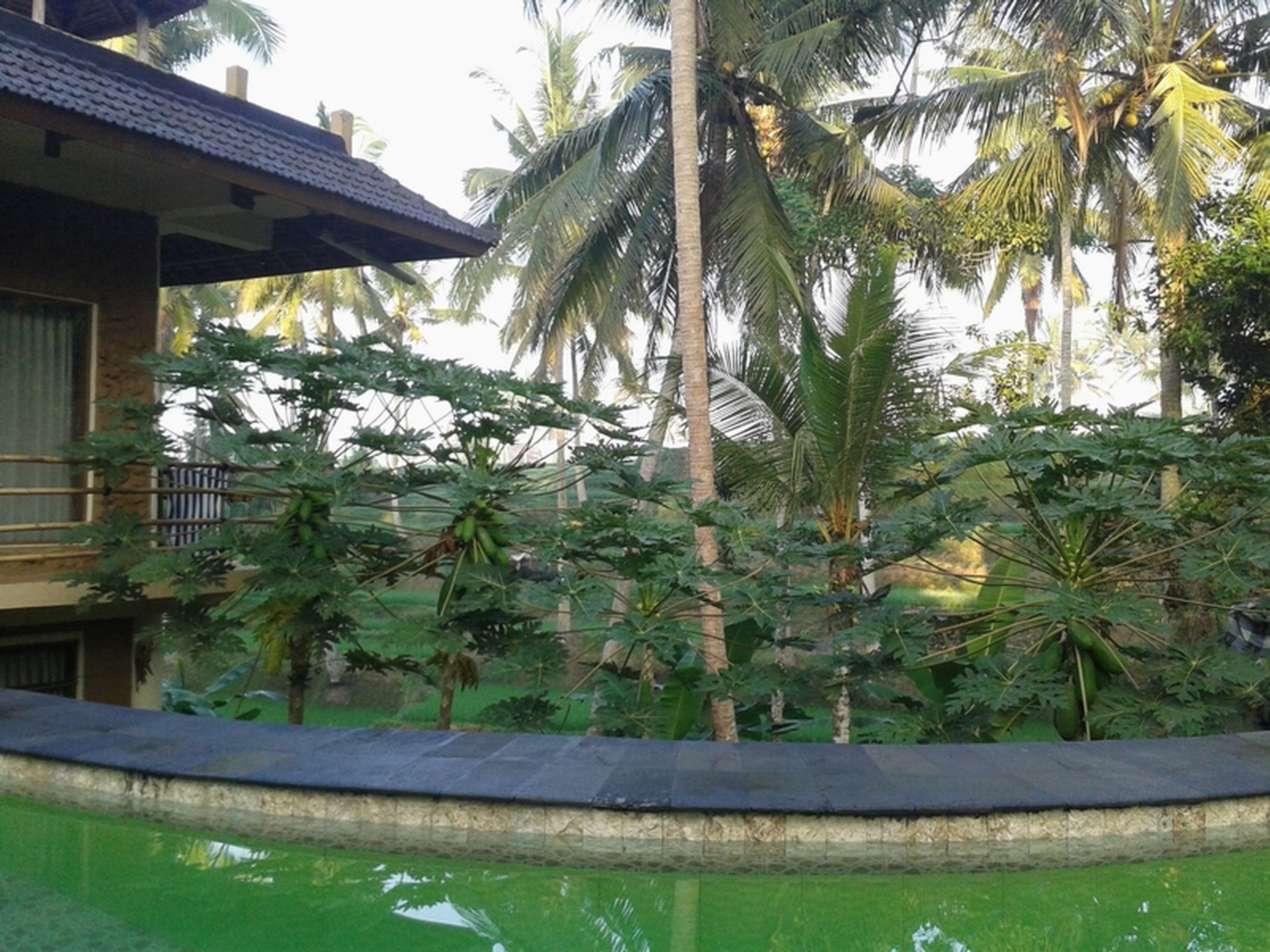 Junjungan Suite Villa