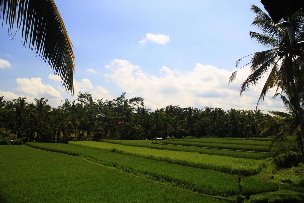 Junjungan Ubud Hotel & Spa