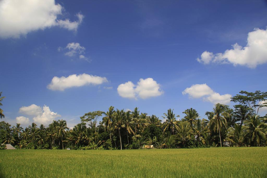 Junjungan Ubud Hotel & Spa