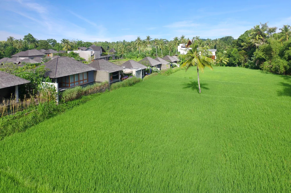 Kaamala Resort Ubud