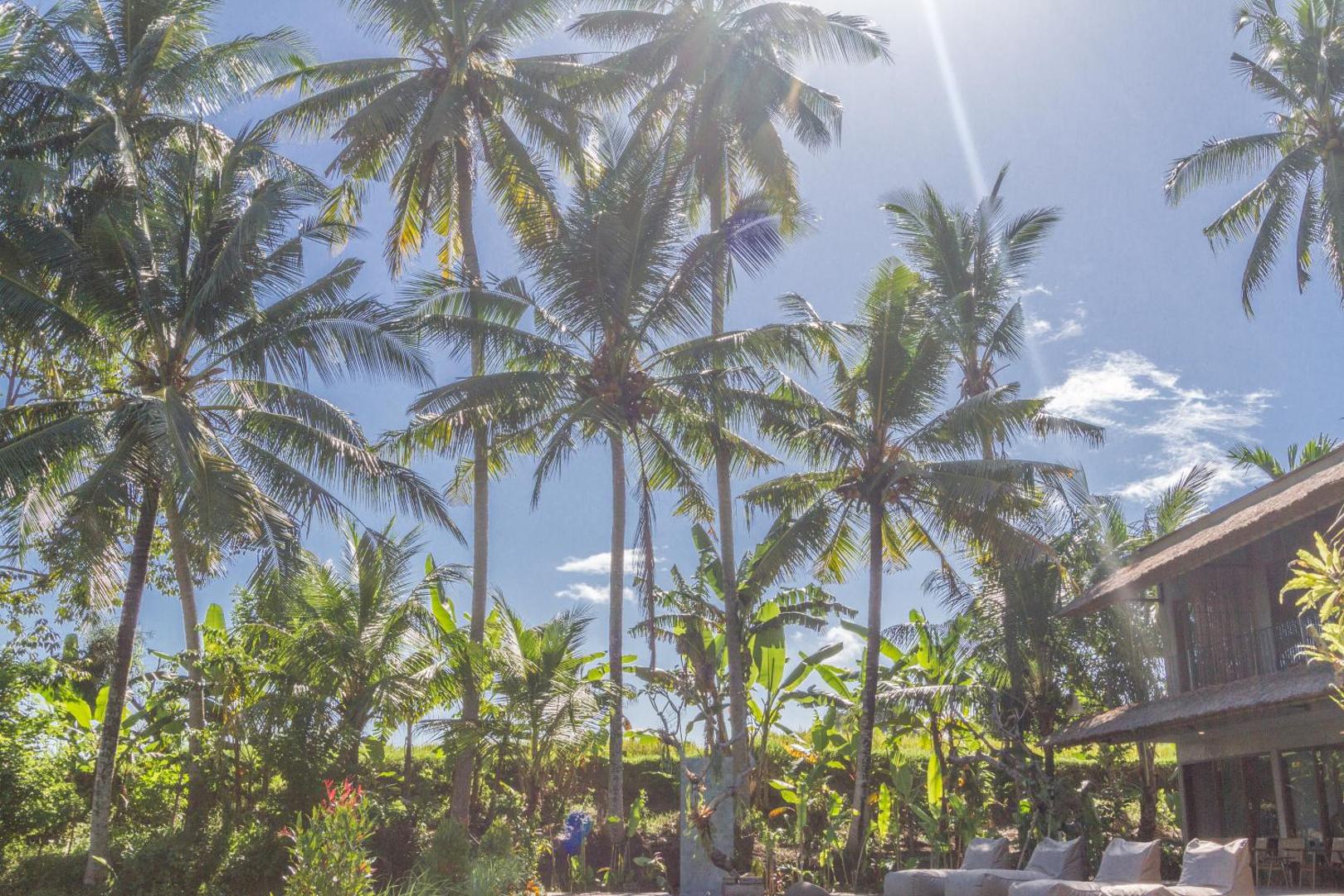 Kandarpa Ubud