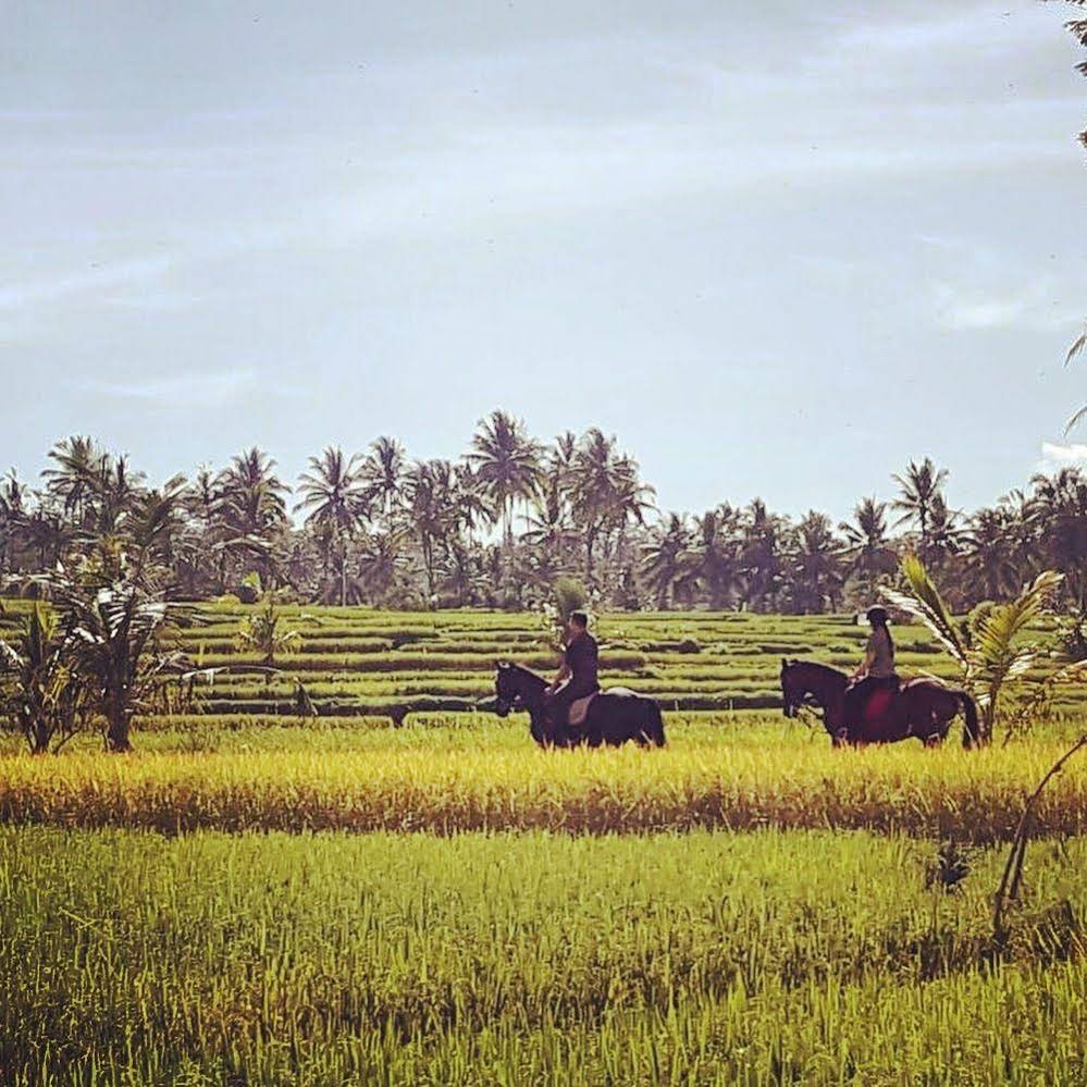 Kanomayasa Ubud Private Villa