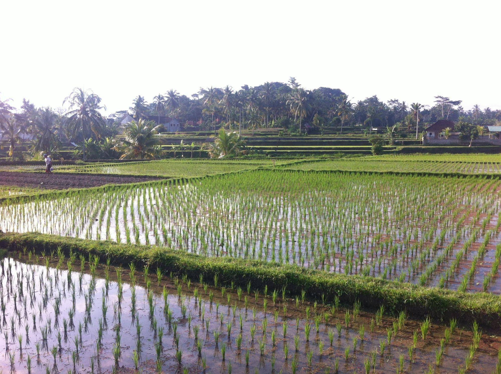 Kanomayasa Ubud Private Villa