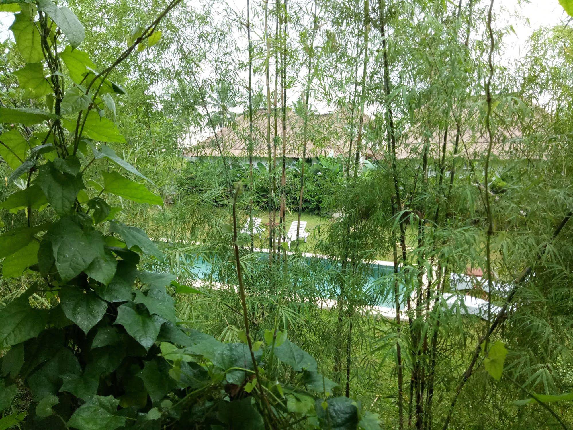 Kanomayasa Ubud Private Villa