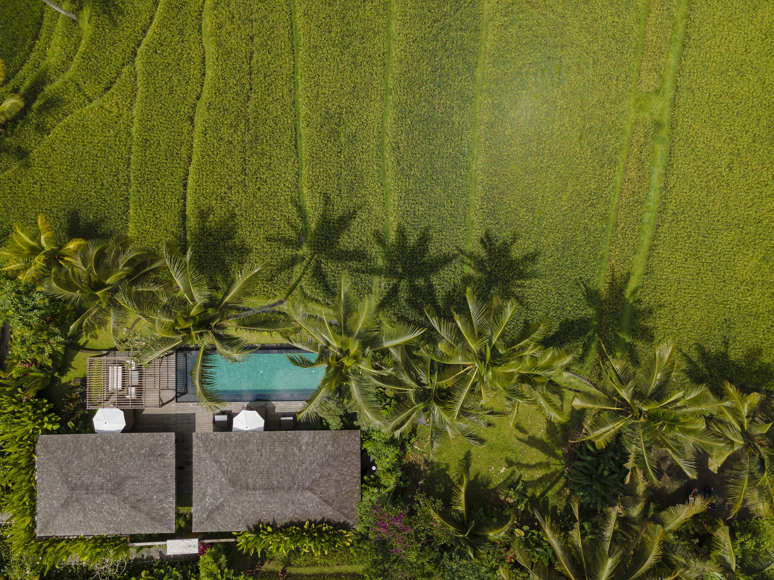 Kappa Senses Ubud