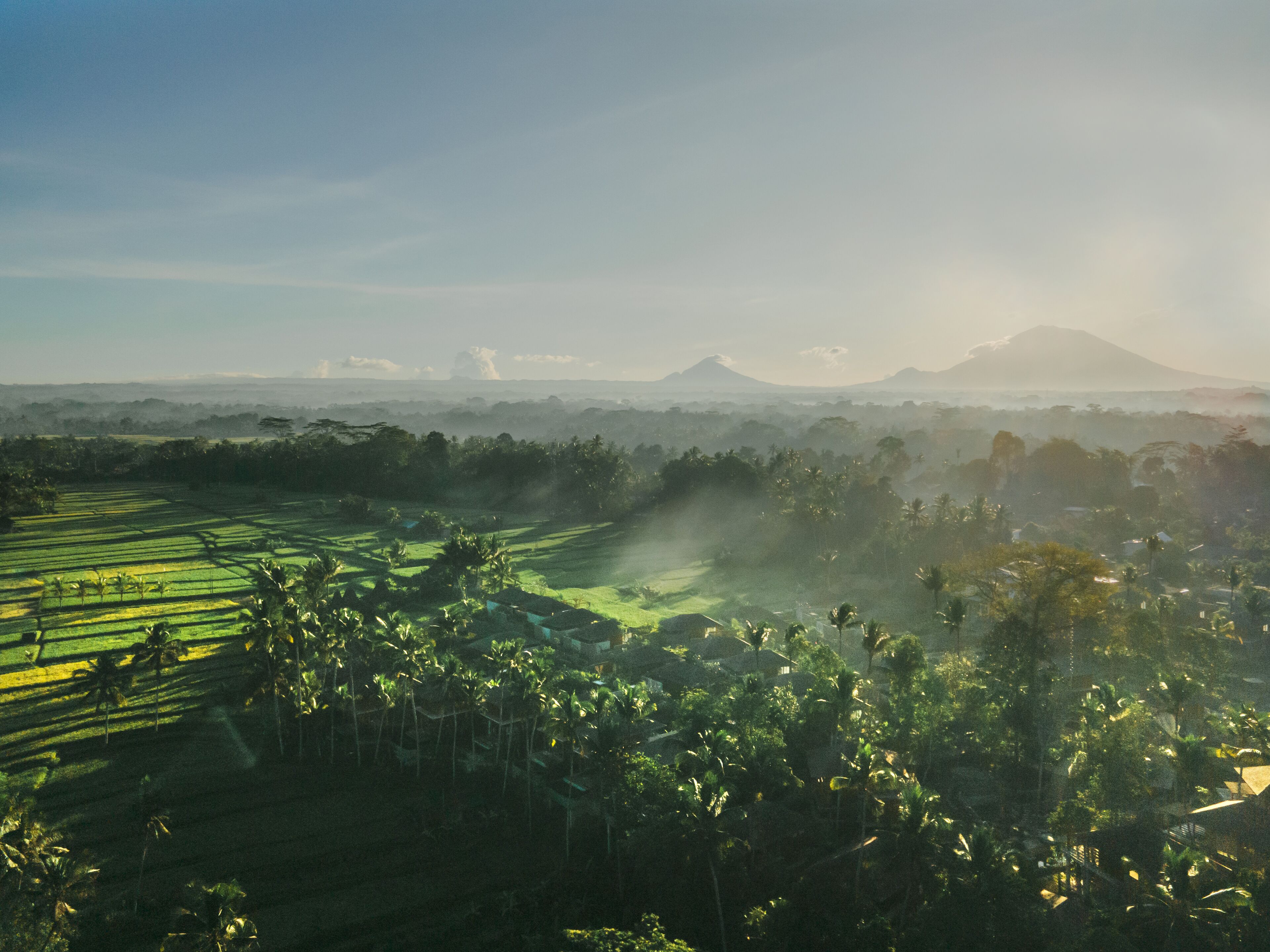 Kappa Senses Ubud