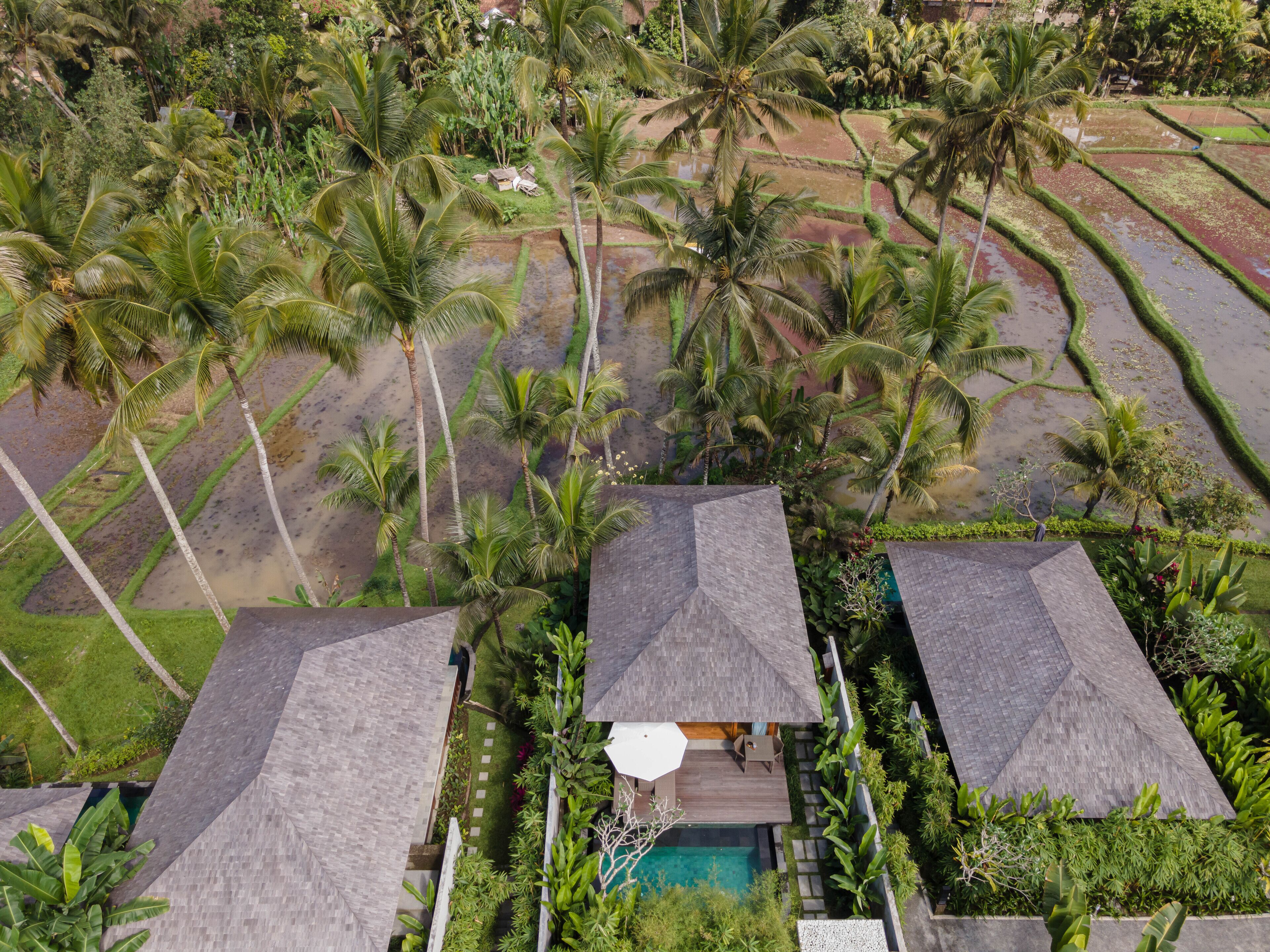 Kappa Senses Ubud