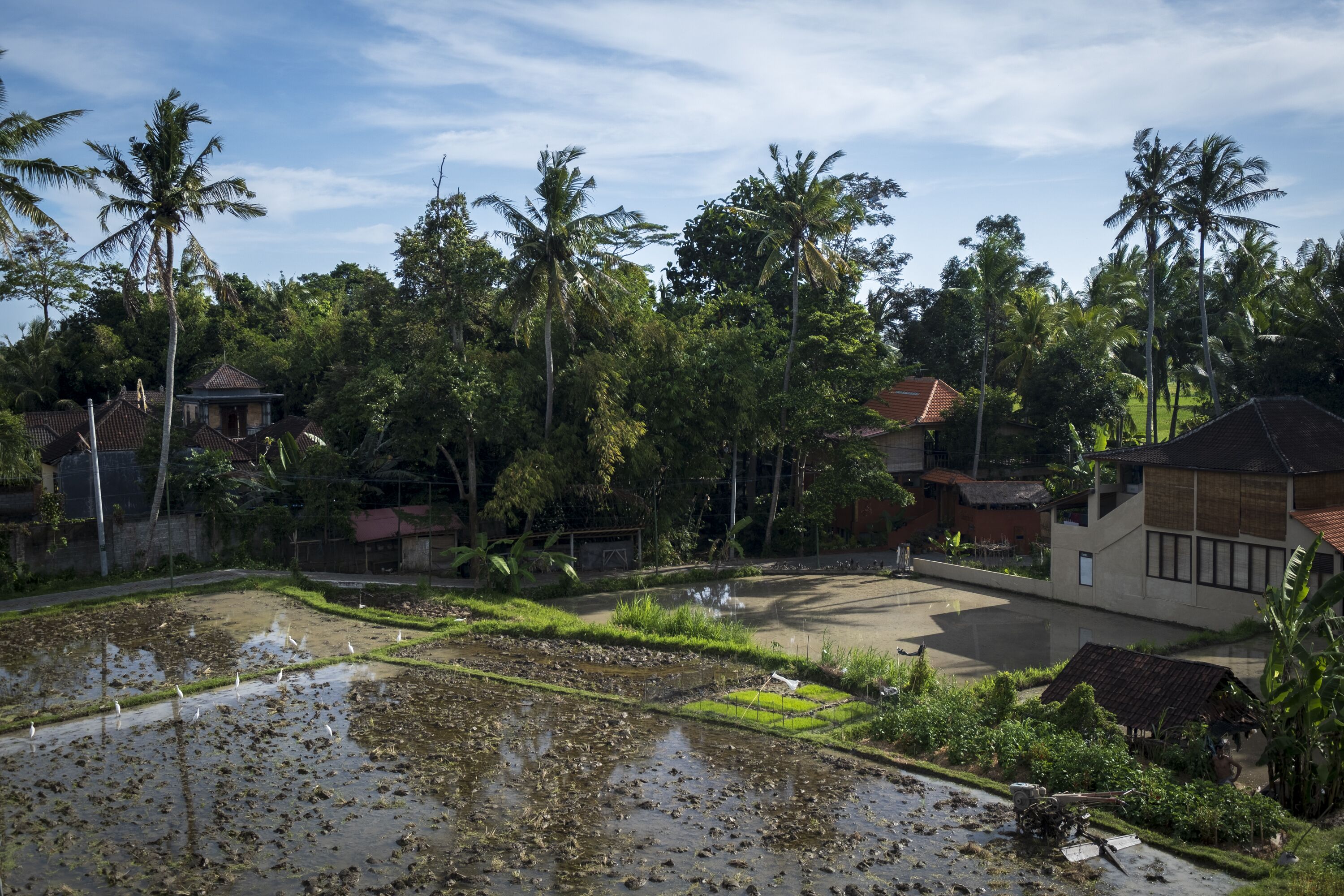 Kemangi Apartments and Yoga Space