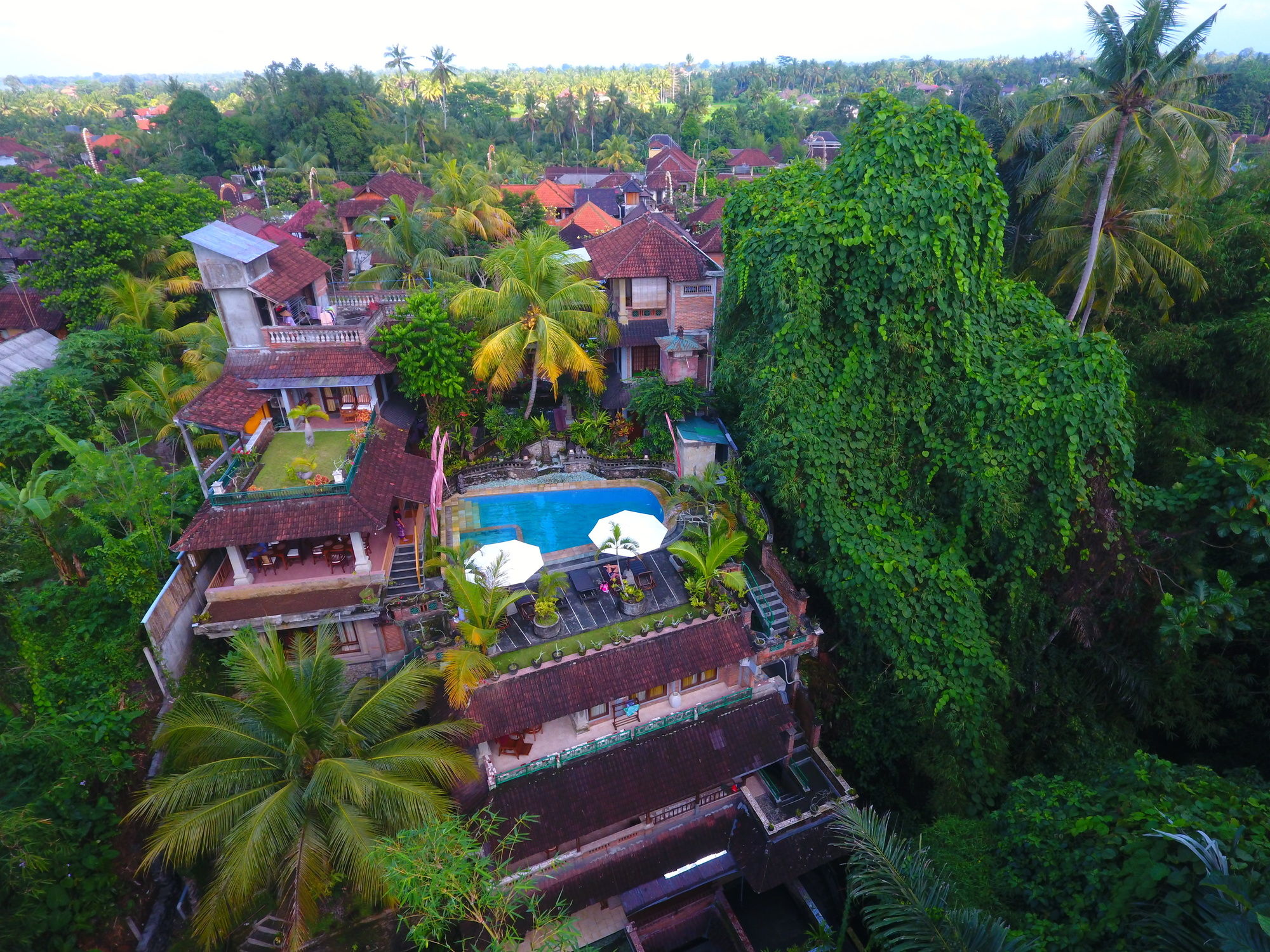 Ketut's Place