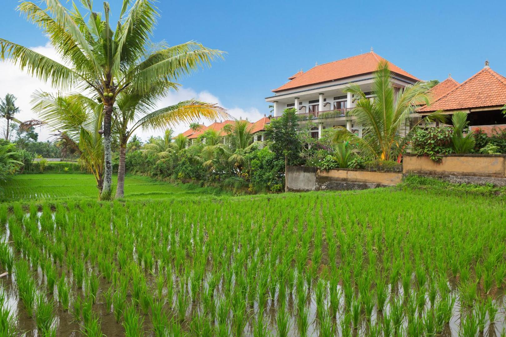 Kiskenda Cottages