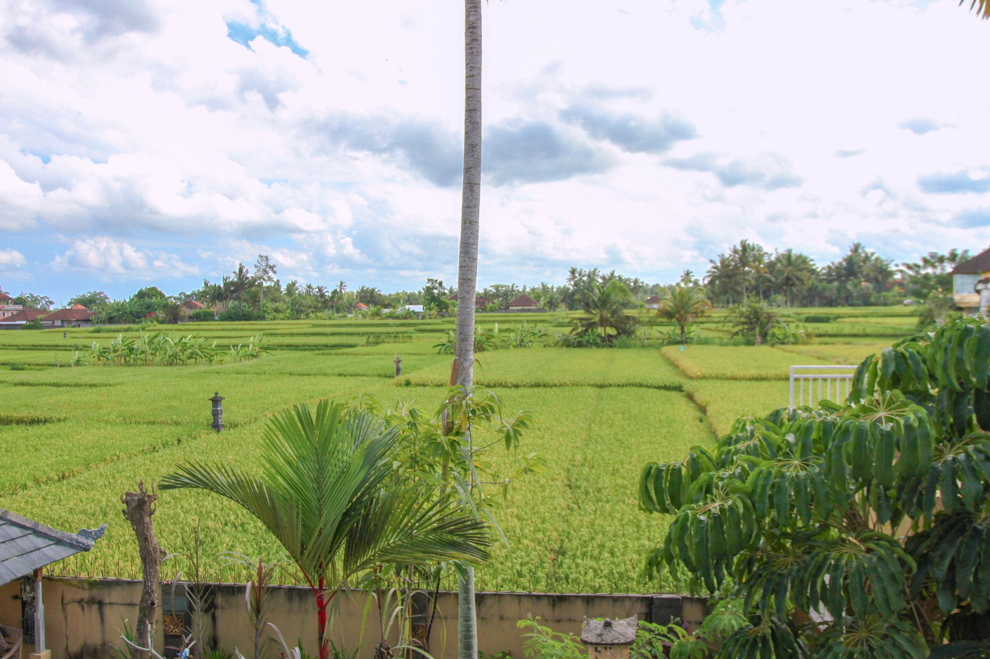 Kubu Sari Ubud