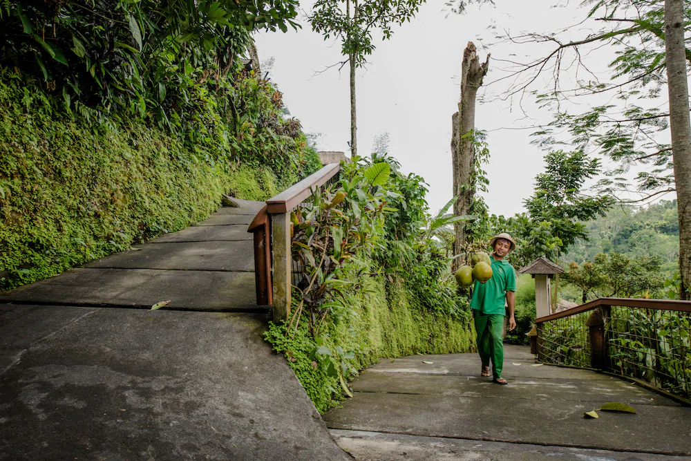 Kupu Kupu Barong Villas and Tree Spa by L’Occitane
