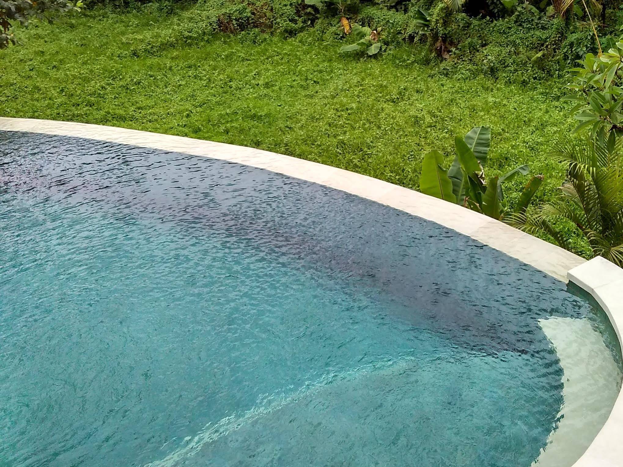 Lotus Villa
