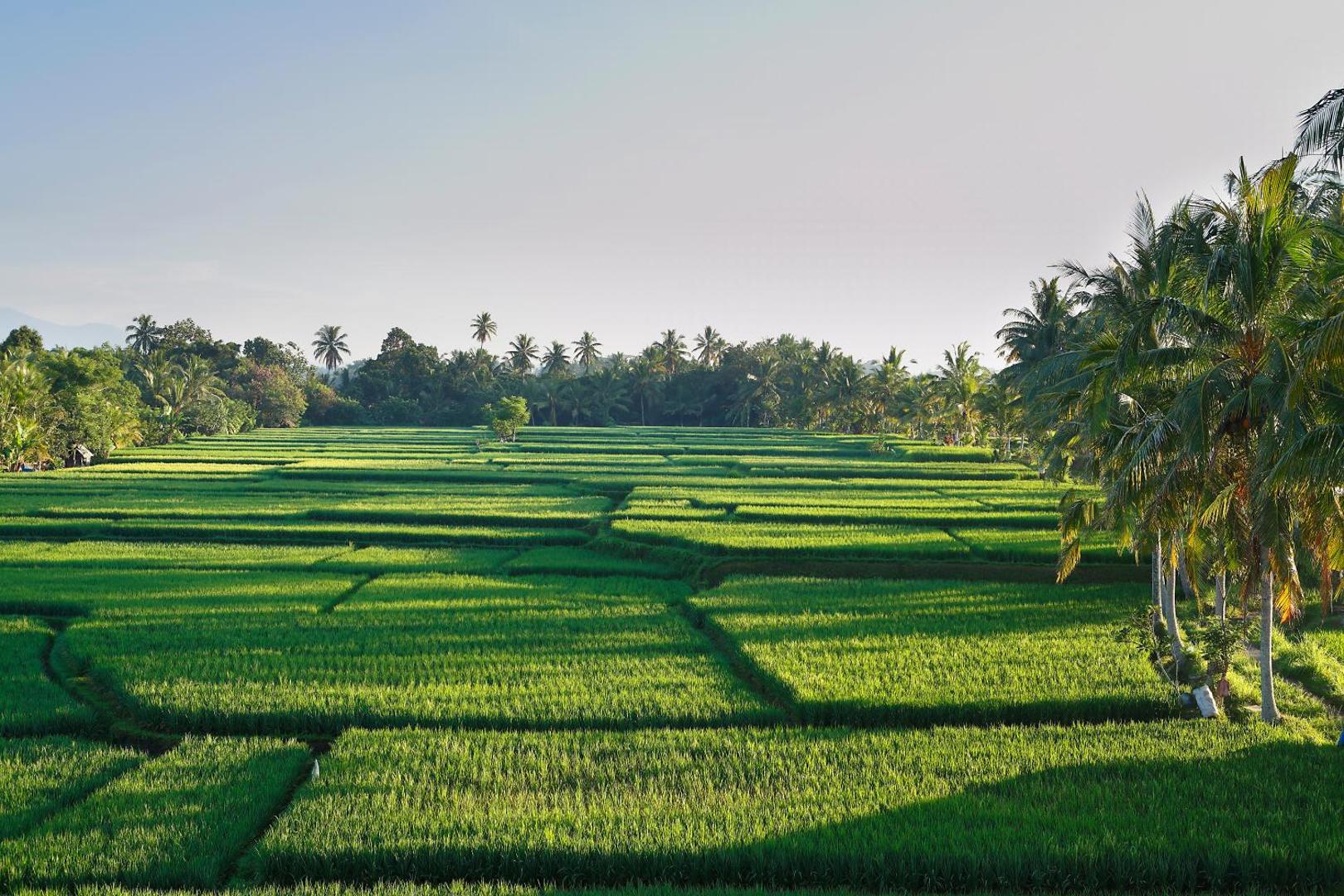 Luxe Villas Bali