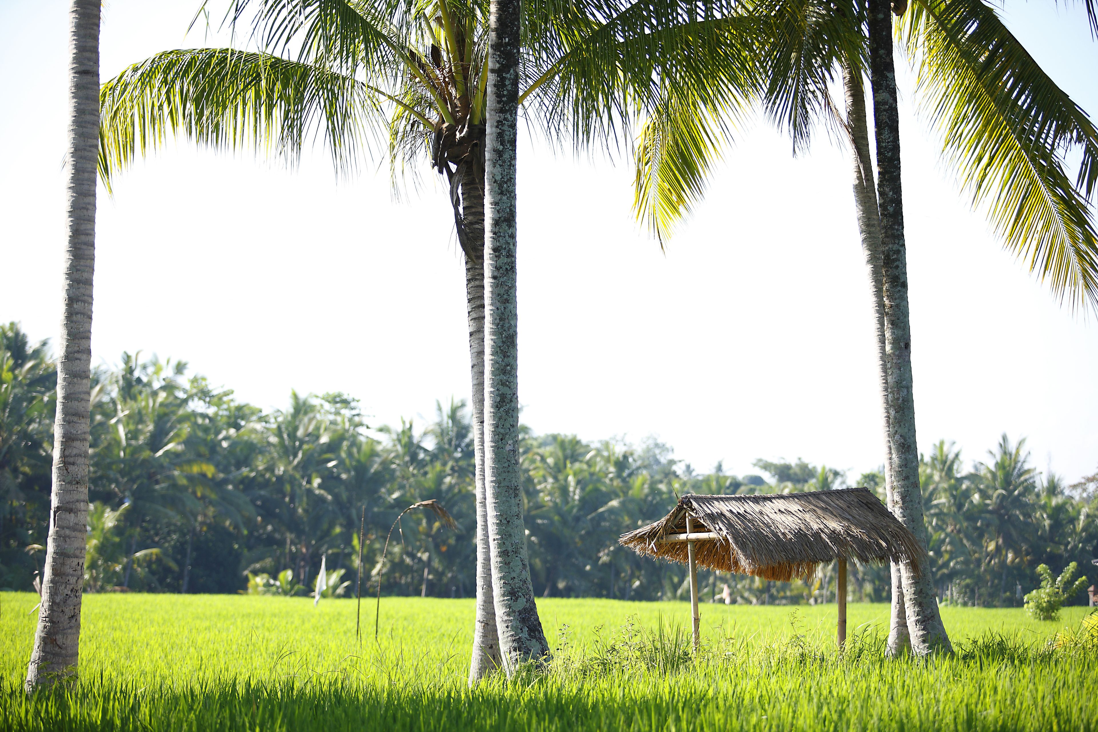 Luxe Villas Bali