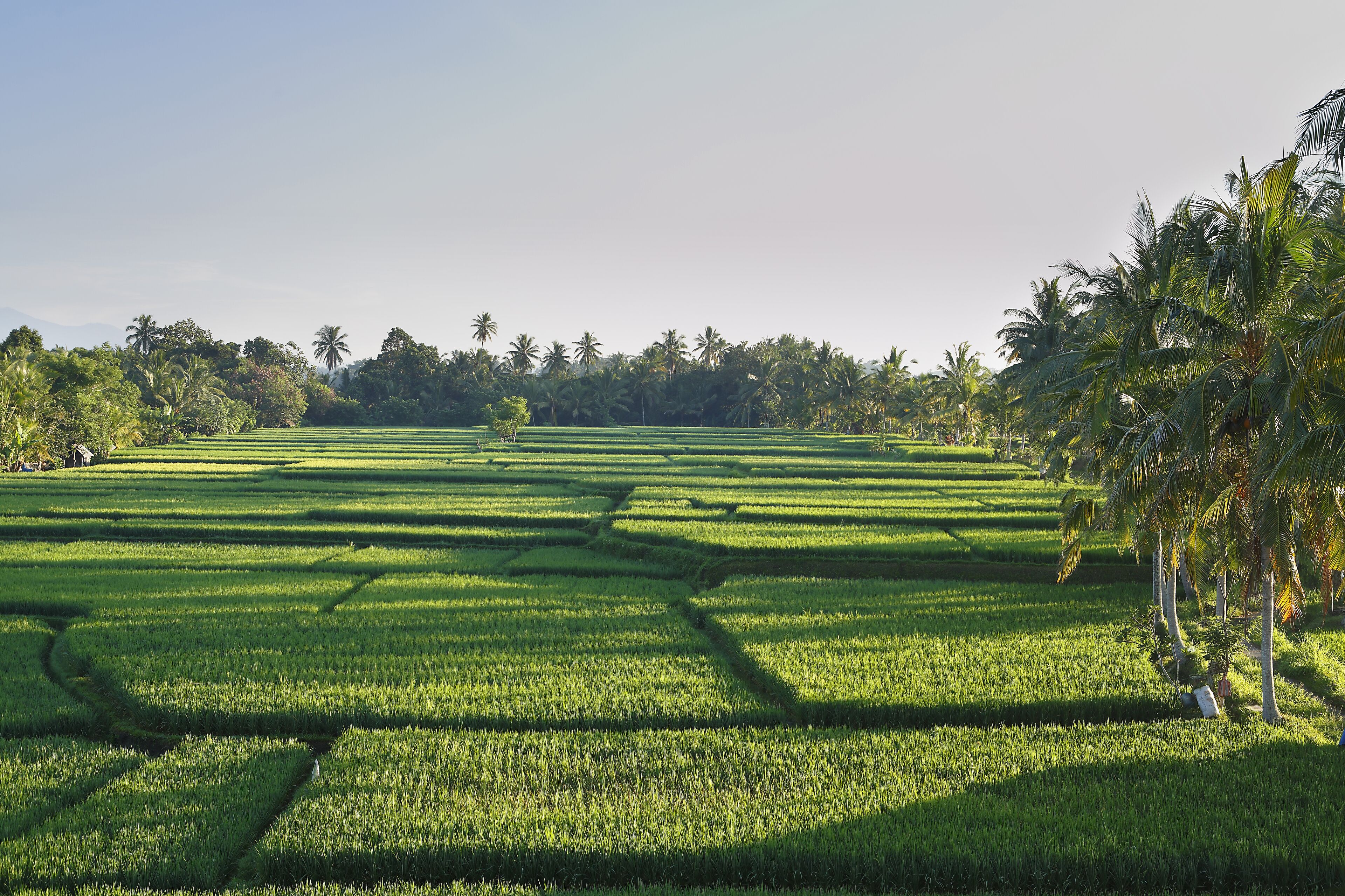 Luxe Villas Bali