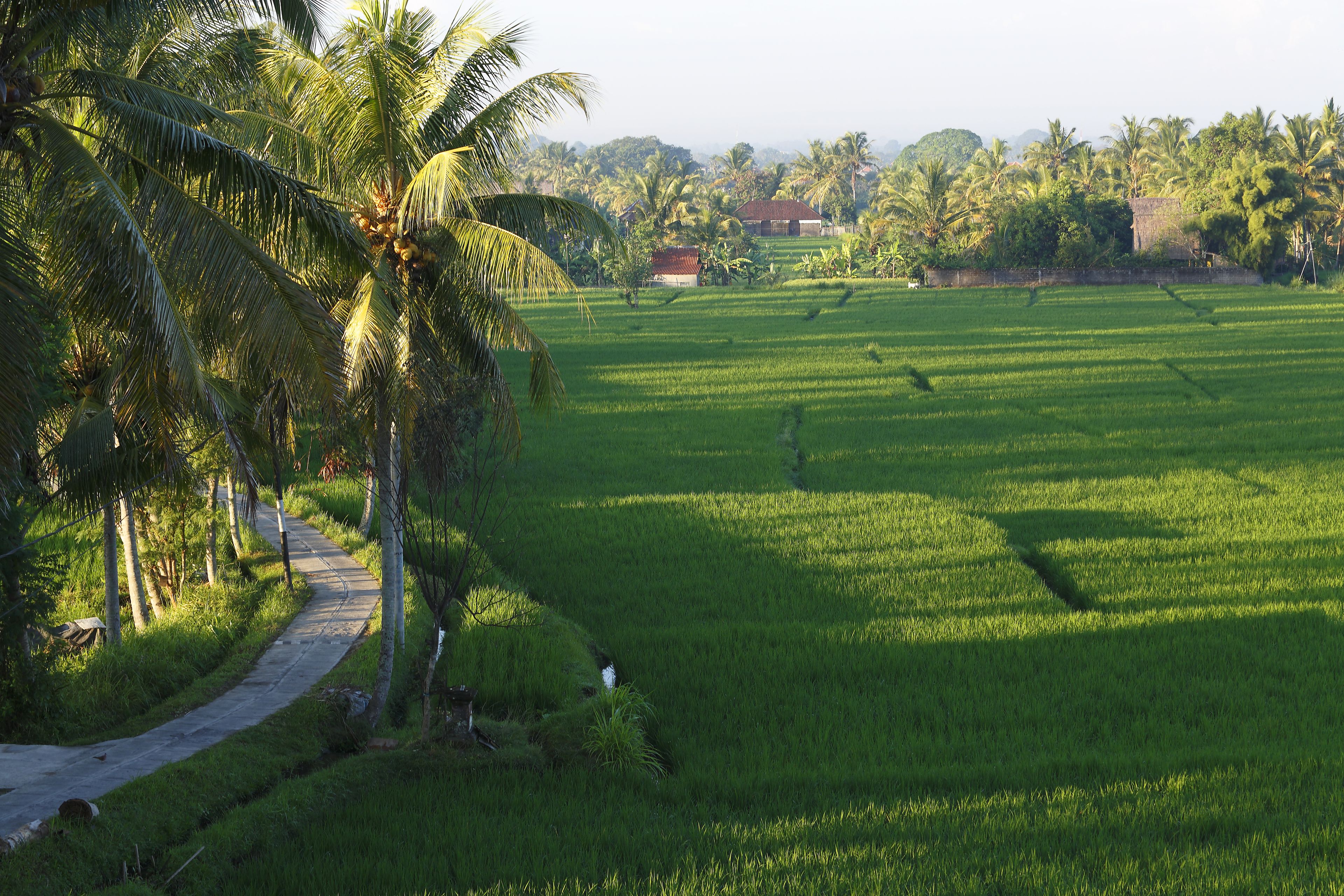 Luxe Villas Bali