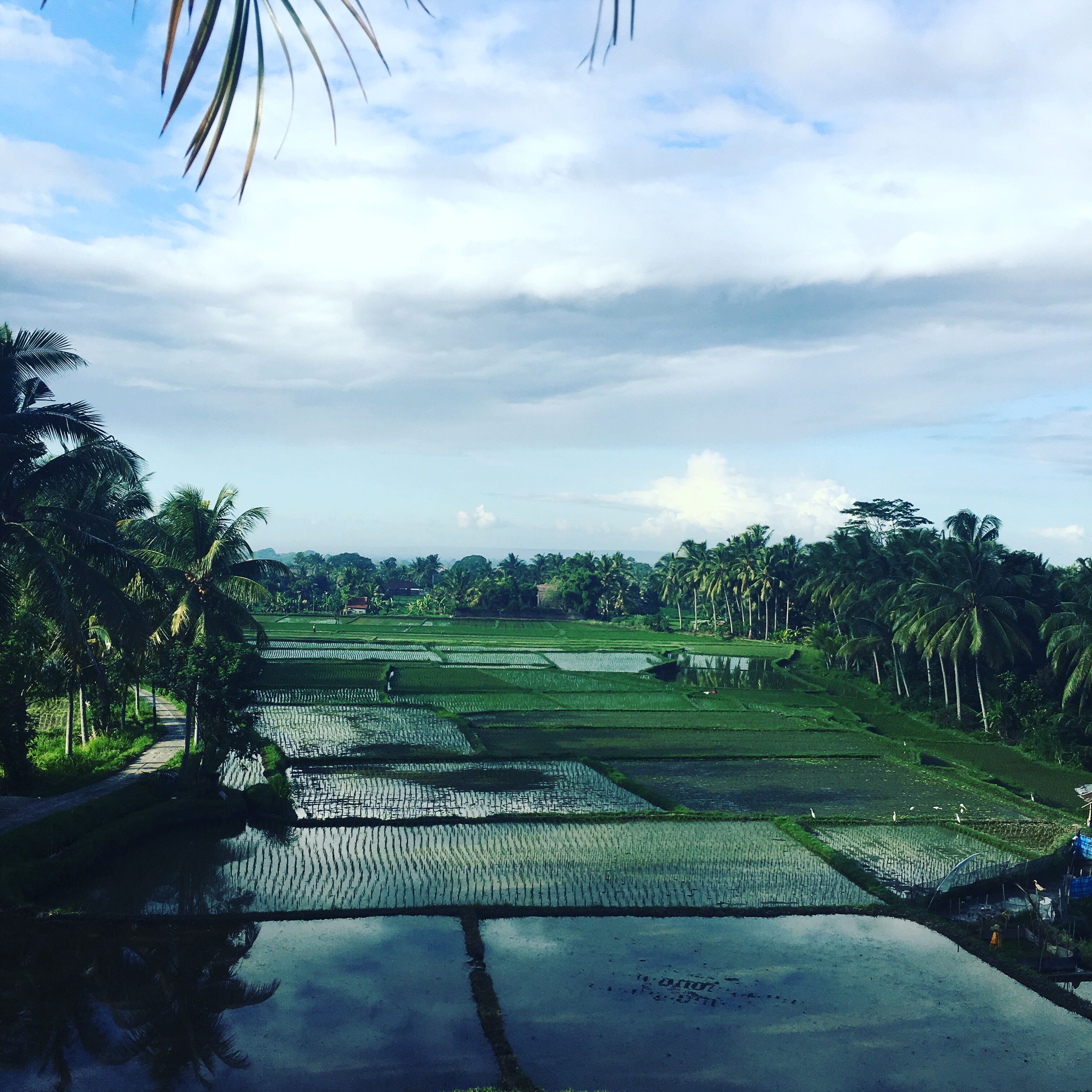 Luxe Villas Bali