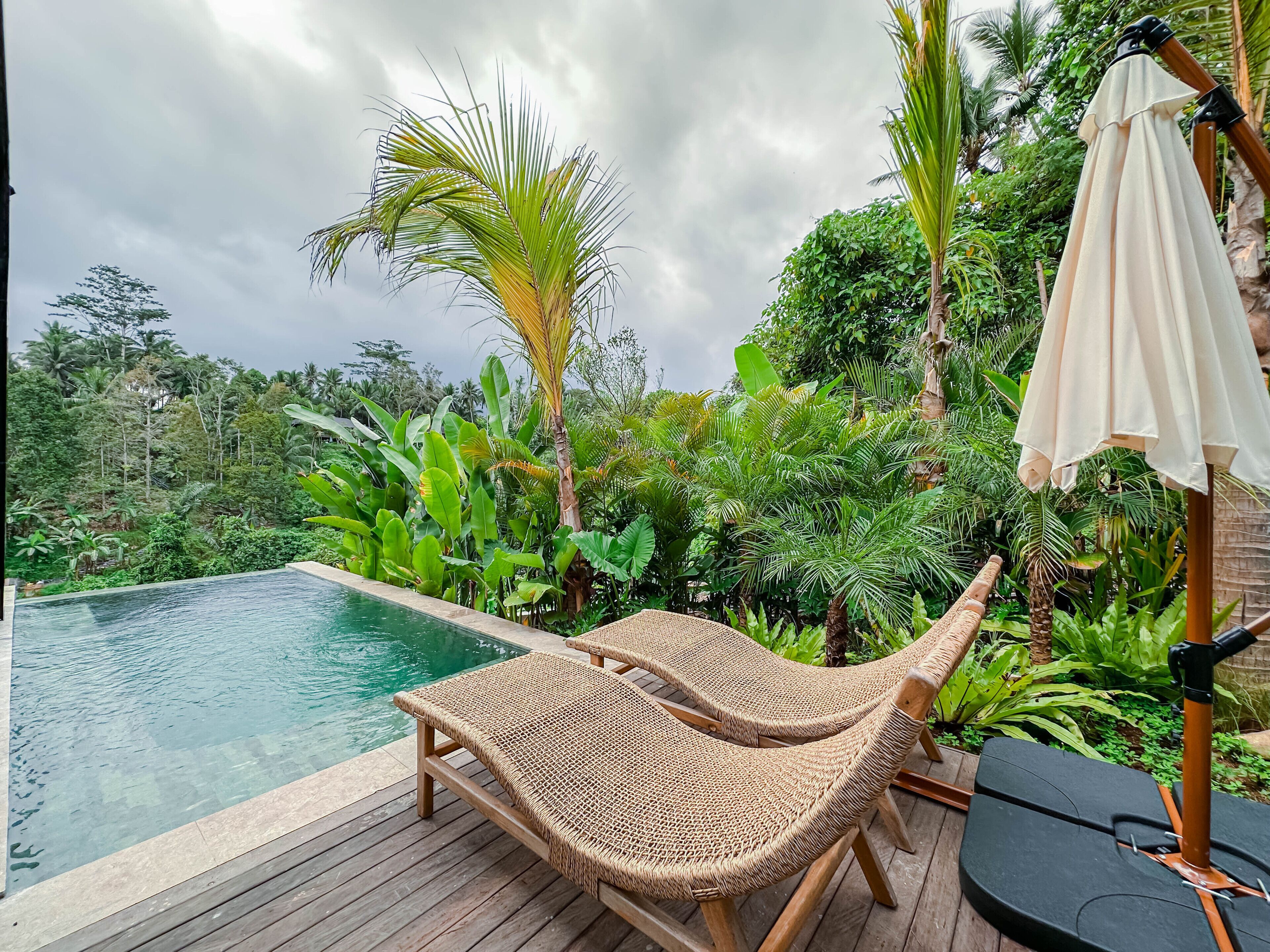 Magical Jungle Resort