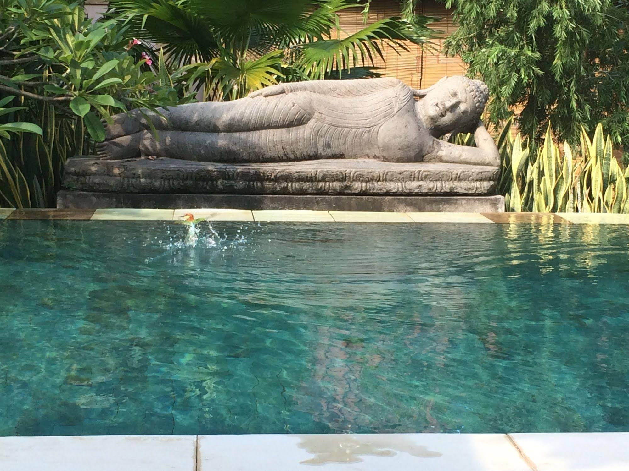 Minabali Bungalo