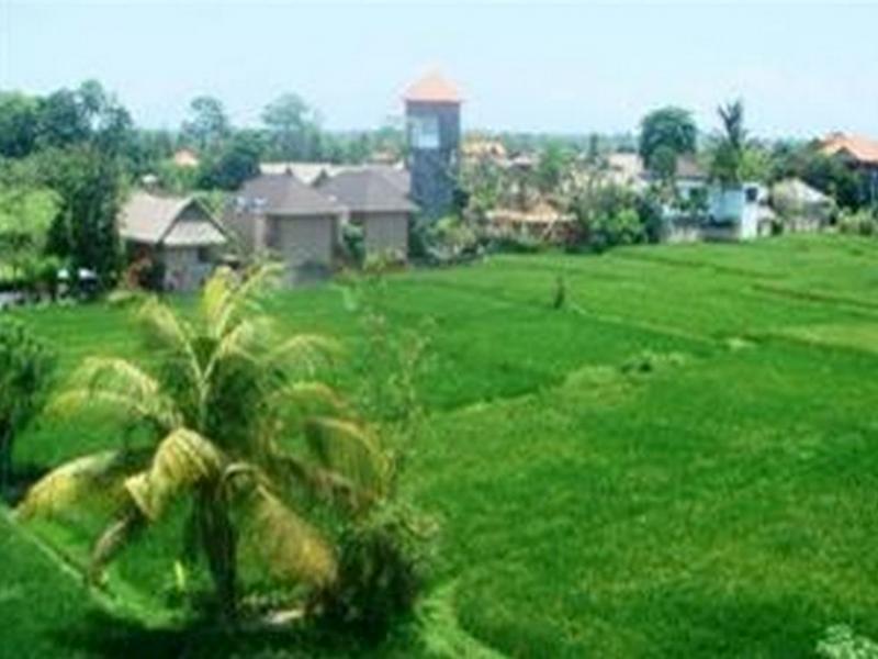 Nuriani Guest House