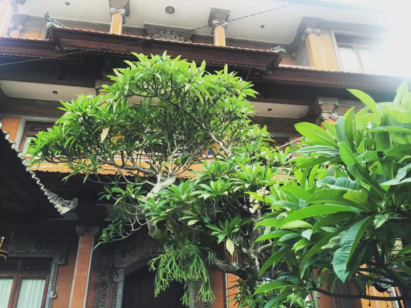 Ode Hostel