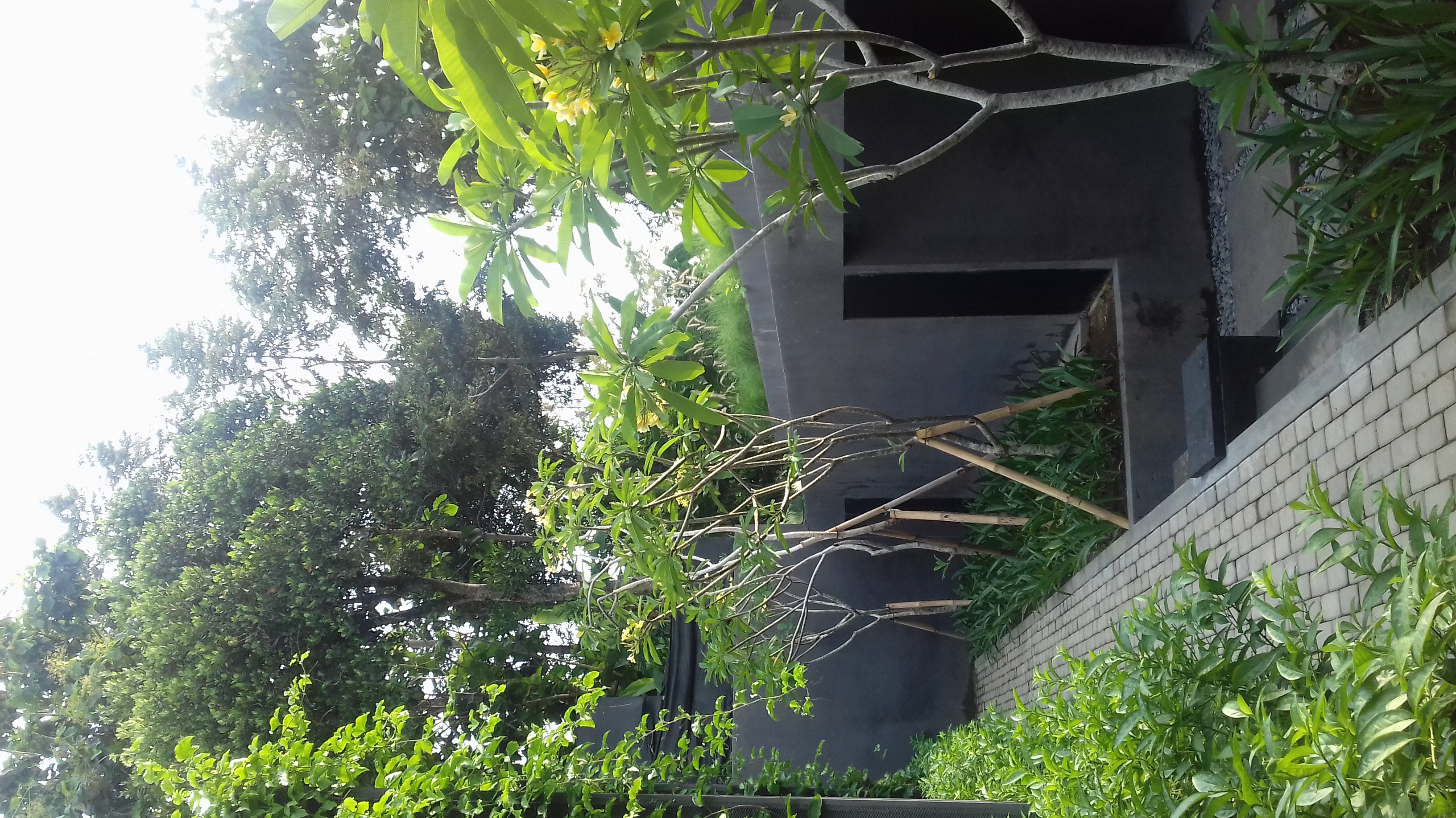 Origin Ubud
