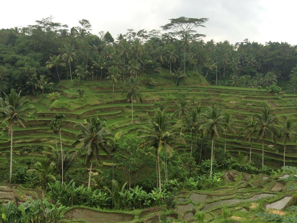 Pangkung House