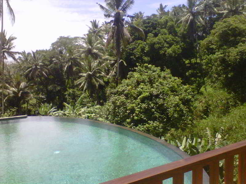 Pertiwi Bisma 1