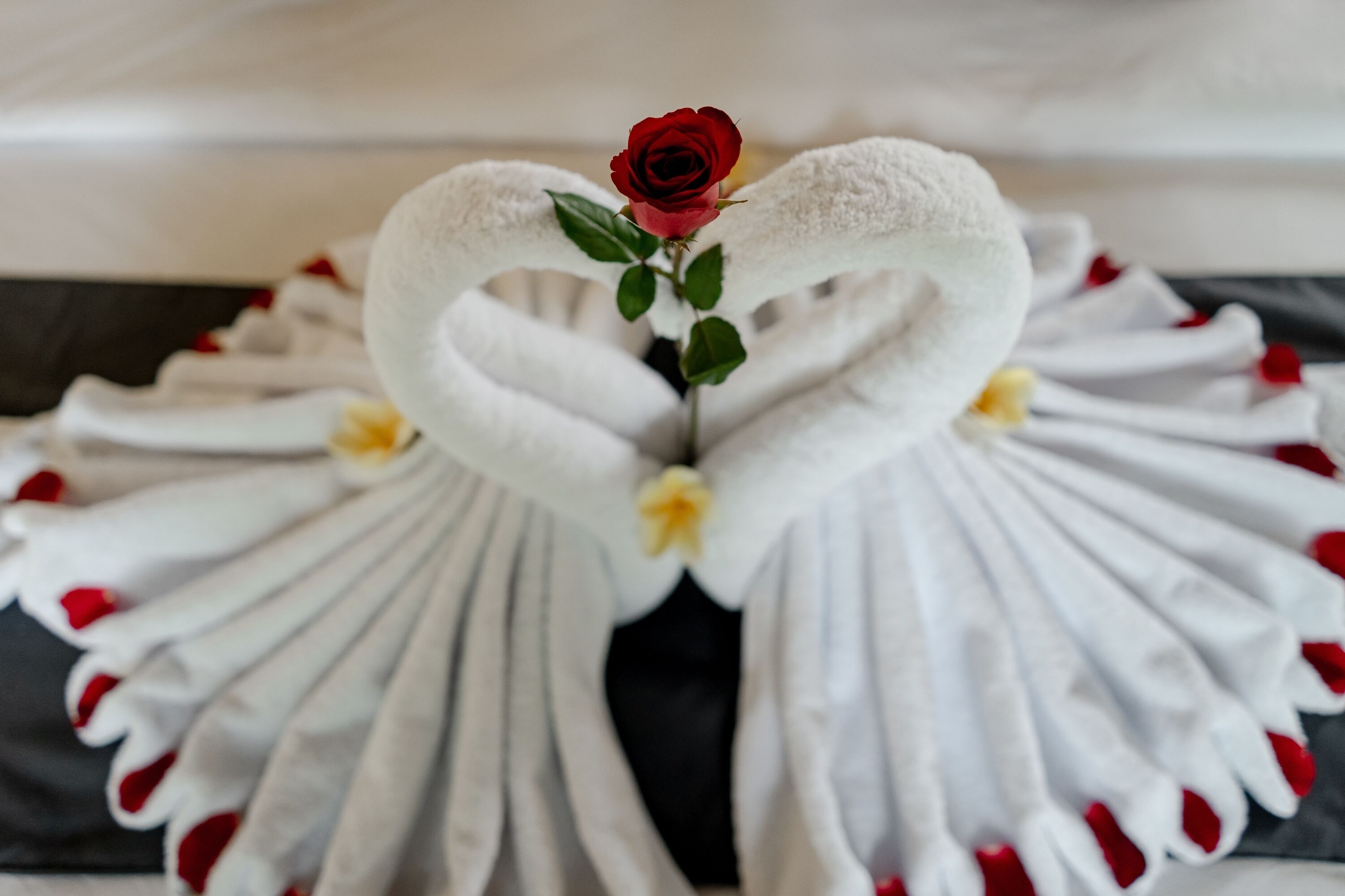 Poka Ubud View Villas & Spa By EPS