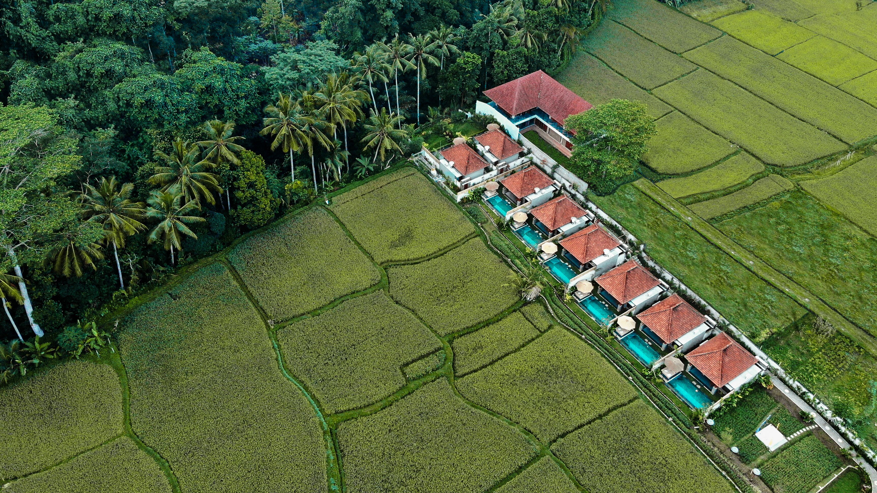 Poka Ubud View Villas & Spa By EPS