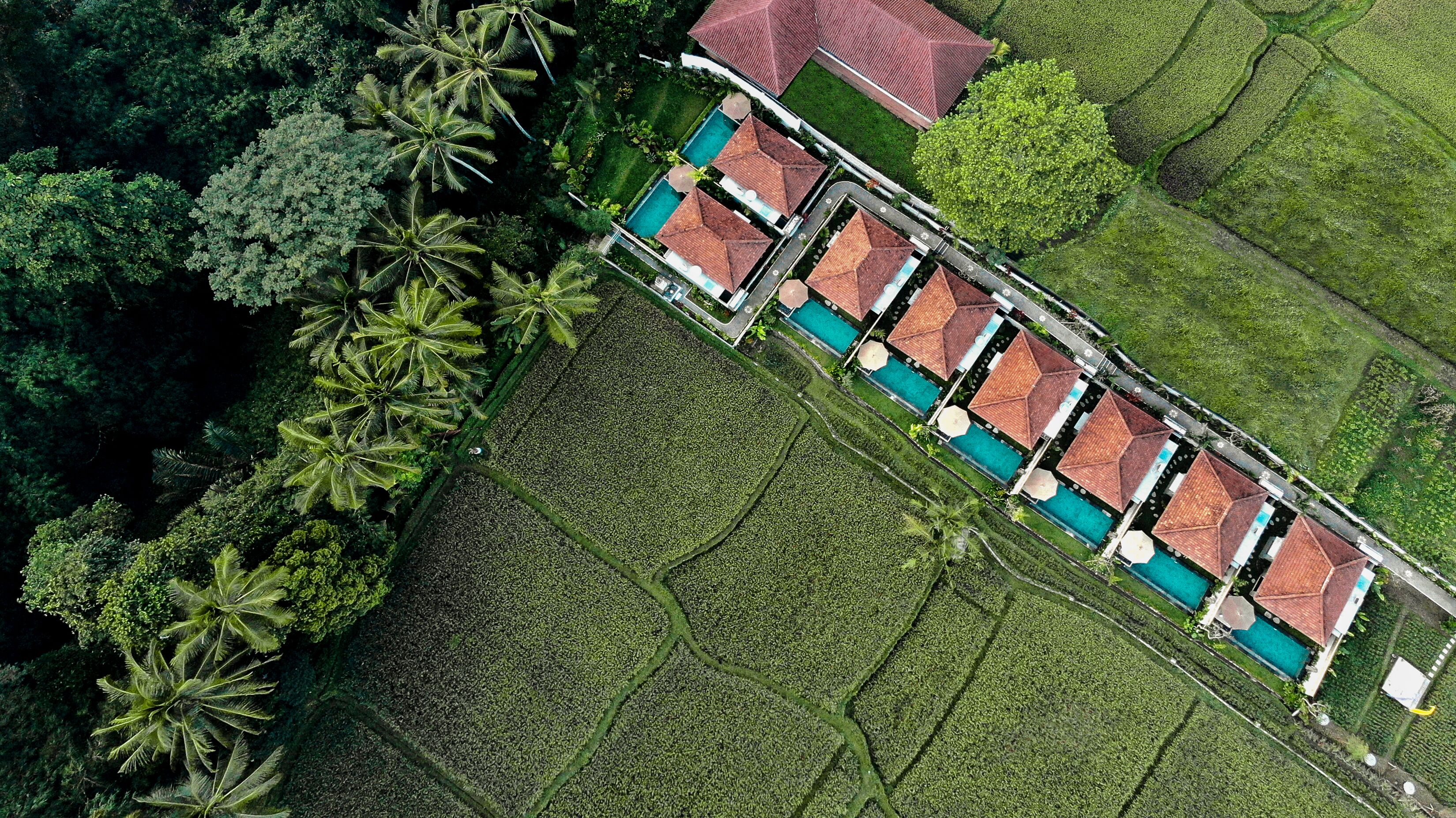 Poka Ubud View Villas & Spa By EPS