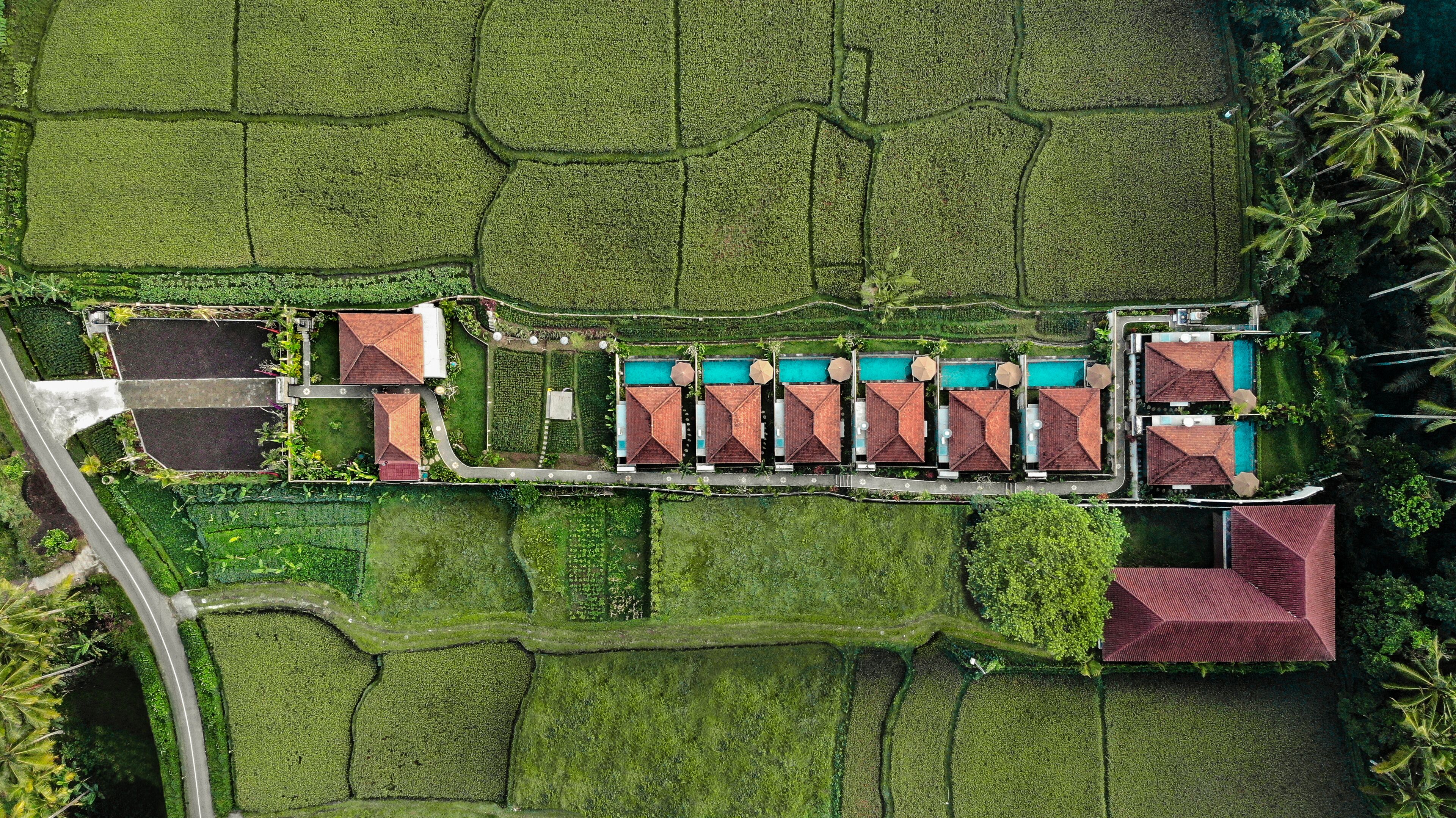 Poka Ubud View Villas & Spa By EPS