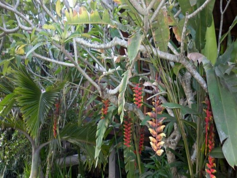 Pondok Manggis Accomodations Hotel