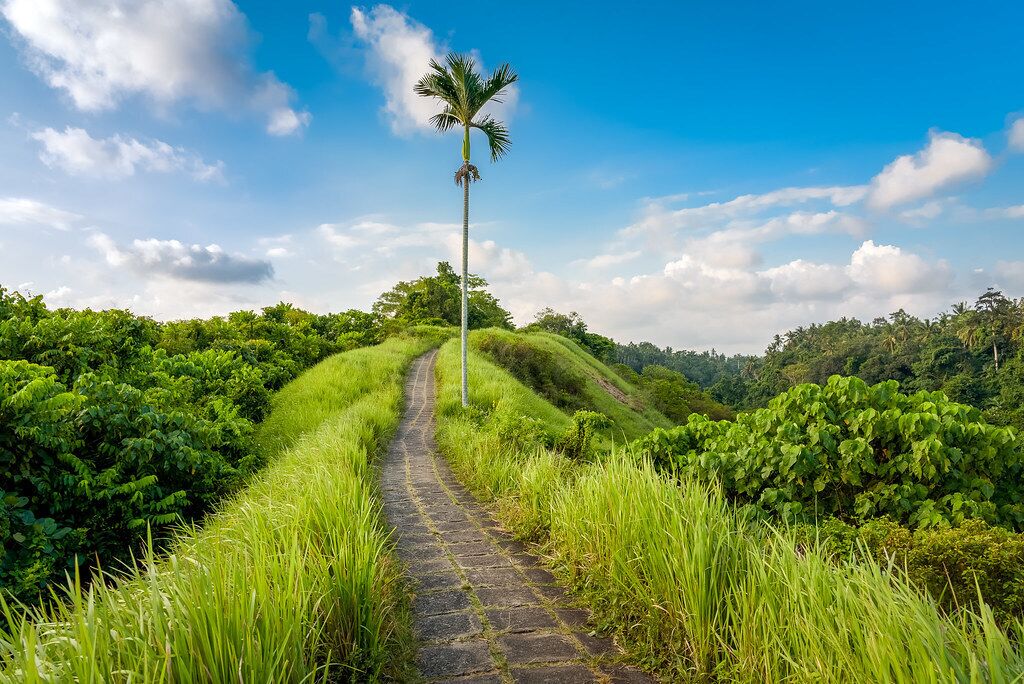 Pondok Massas Ubud