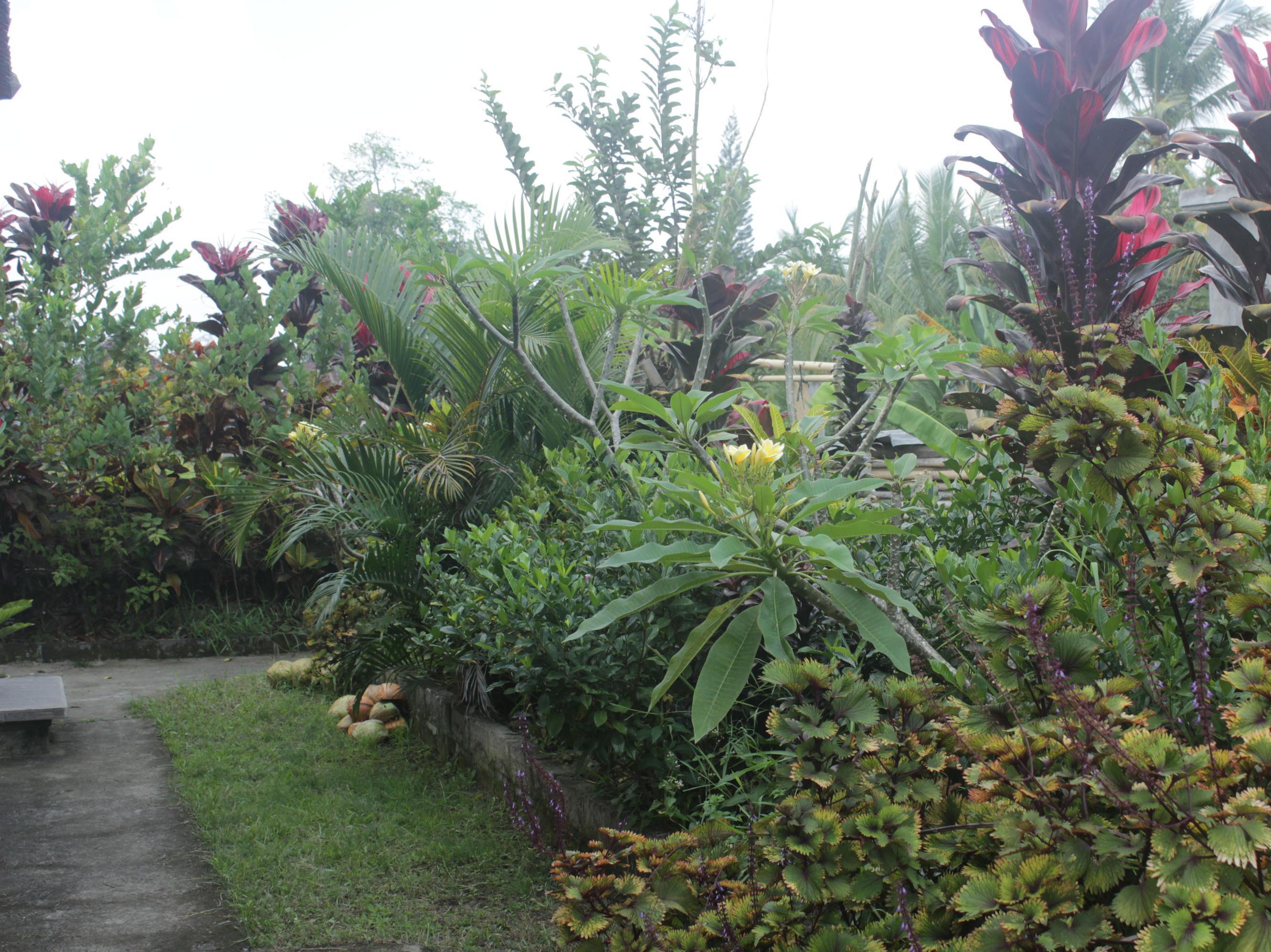 Pondok Sundari