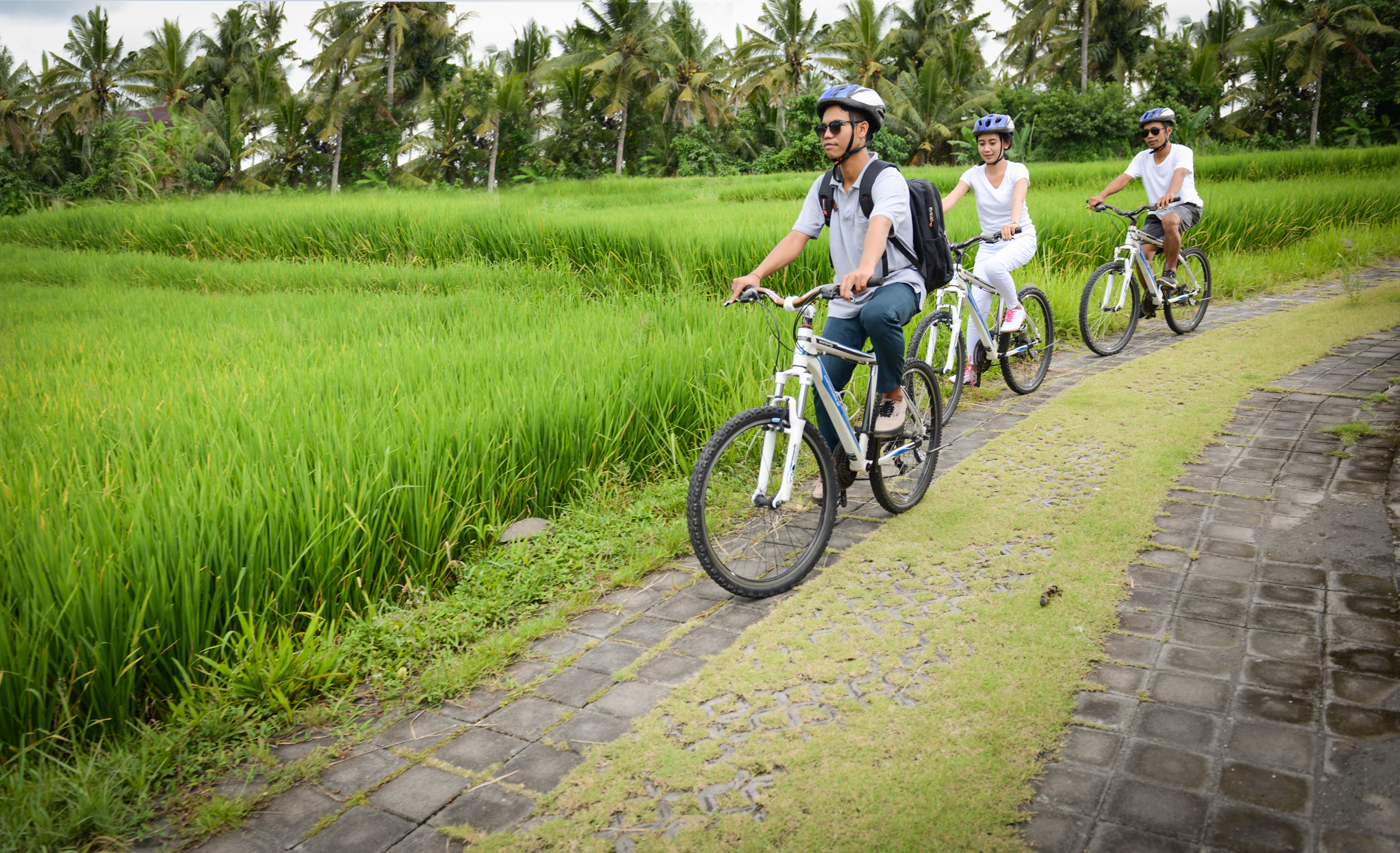 Purana Boutique Resort