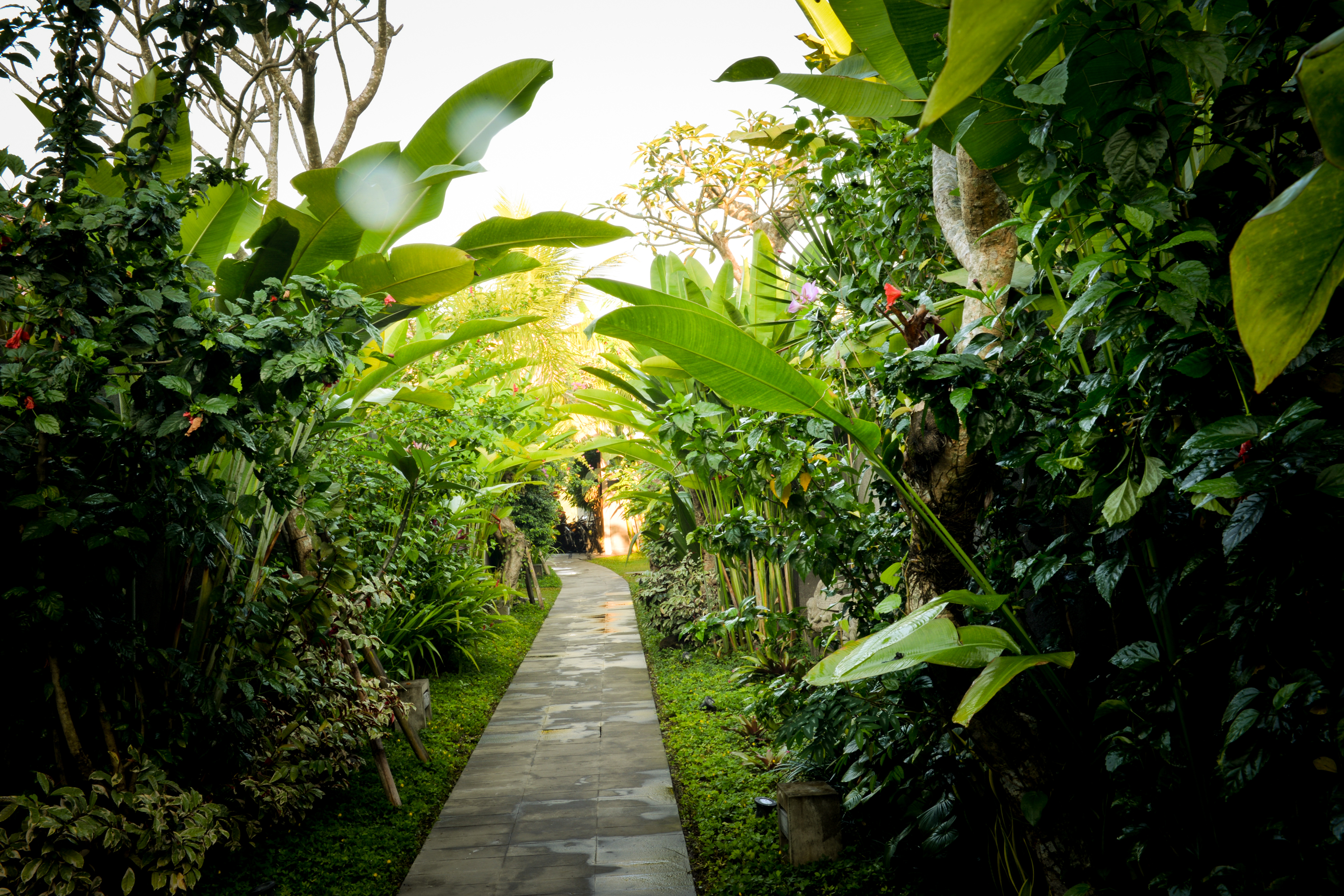Purana Boutique Resort
