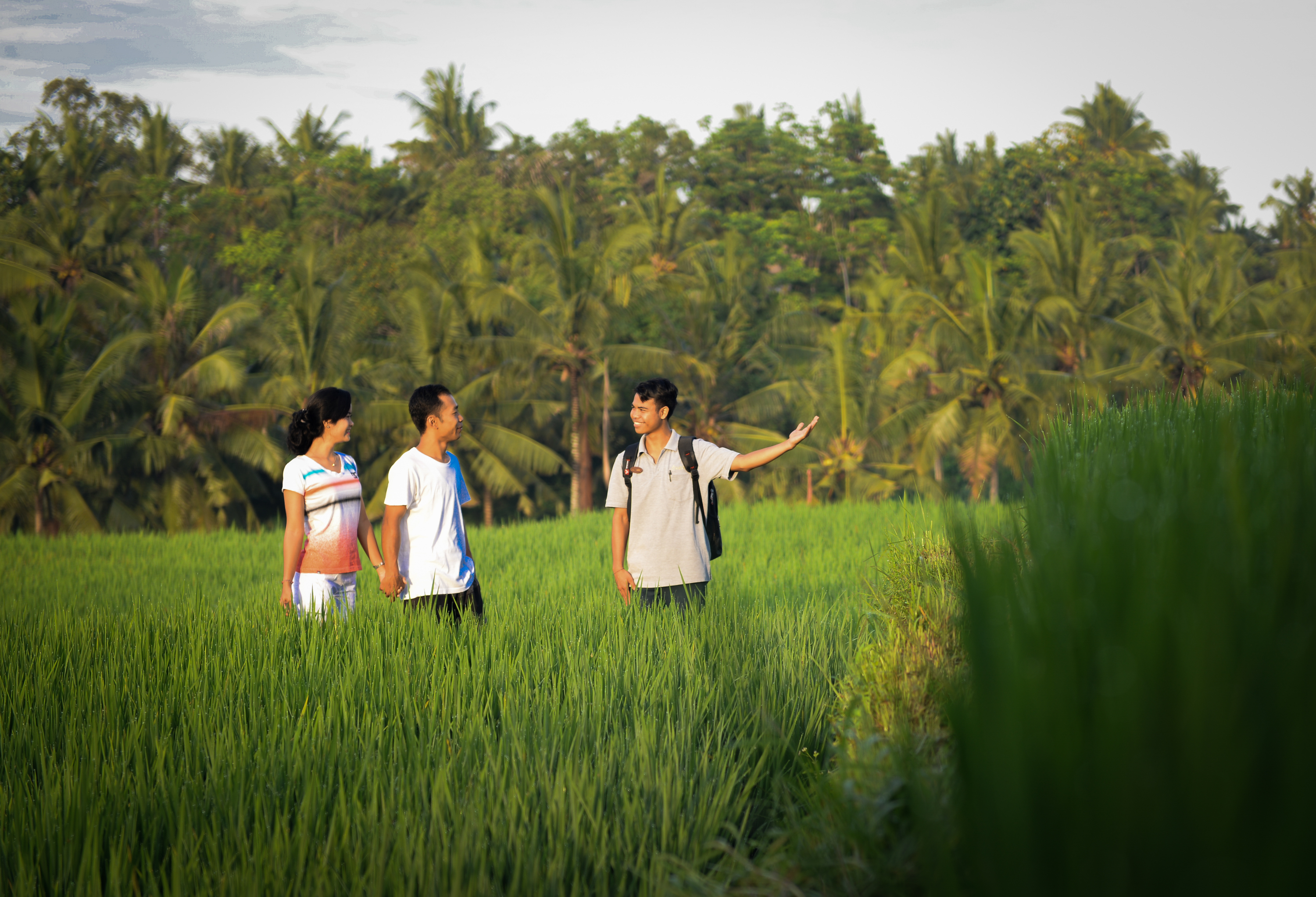 Purana Boutique Resort