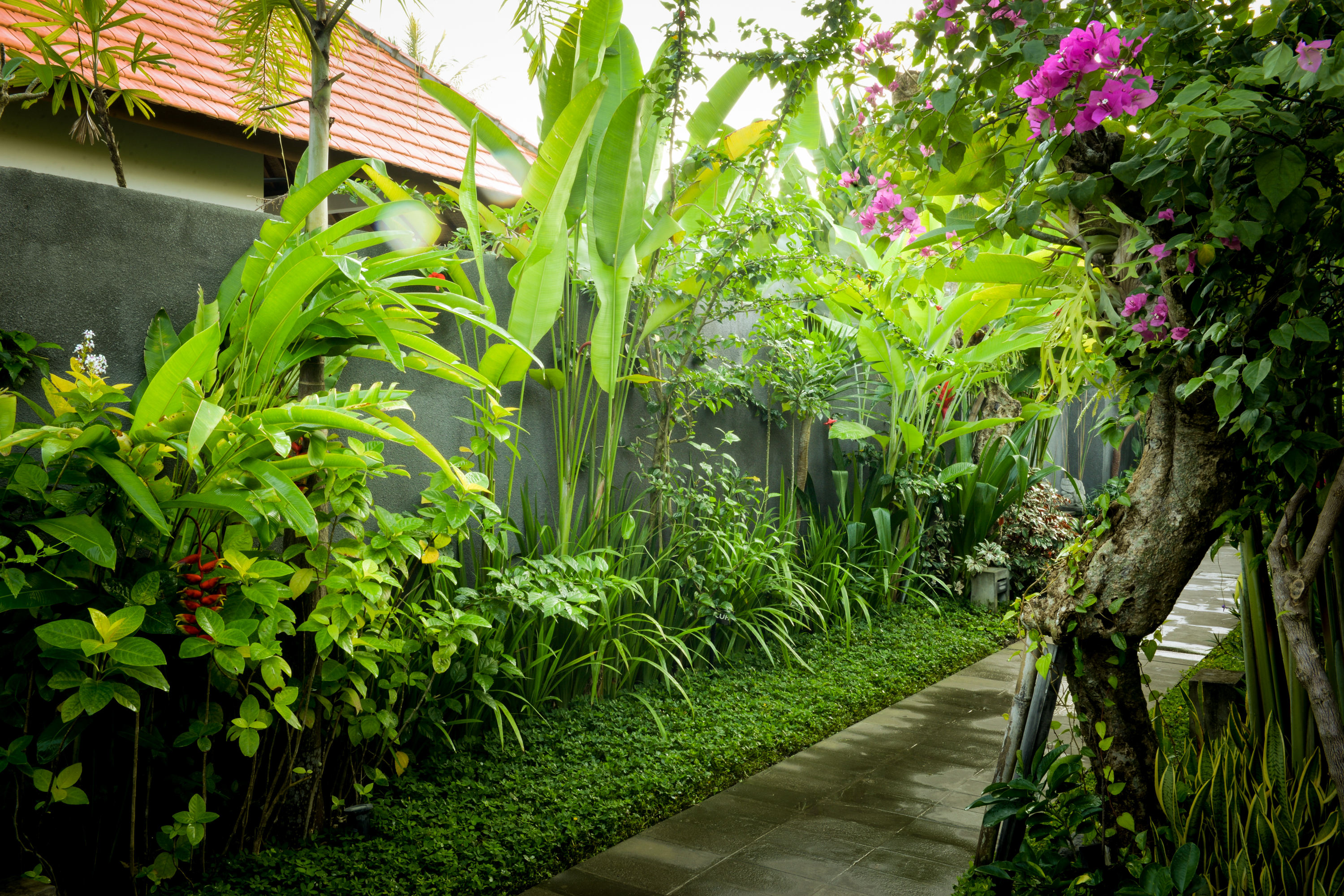 Purana Boutique Resort