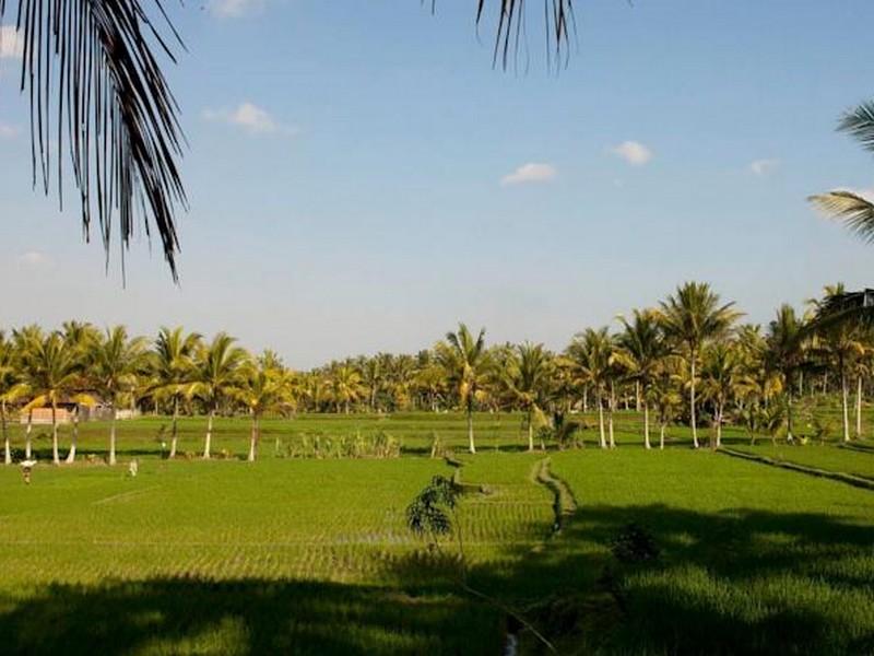 Puri Bebengan Bungalows