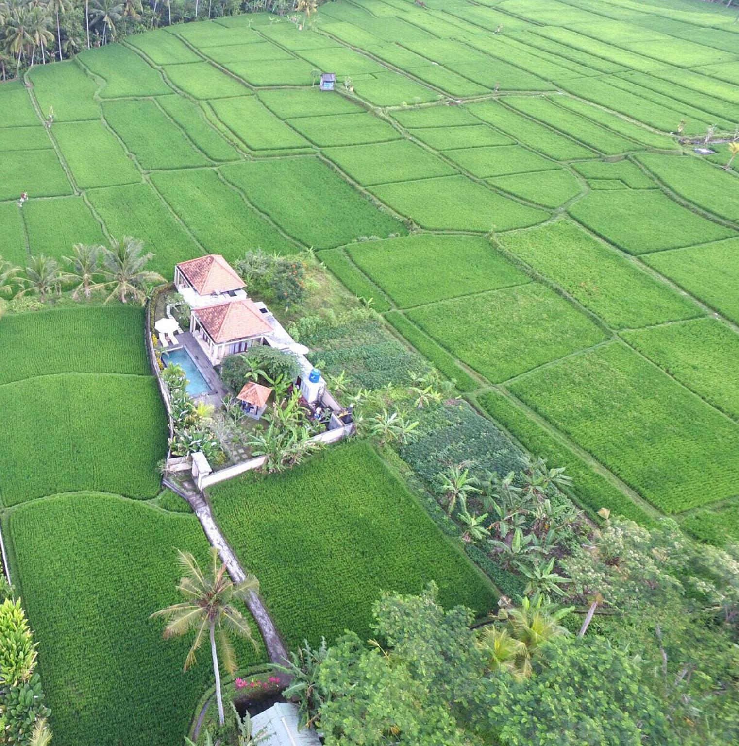Puri Landu Ubud Luxury Villas