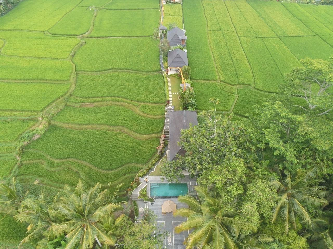 Puri Raya Villa