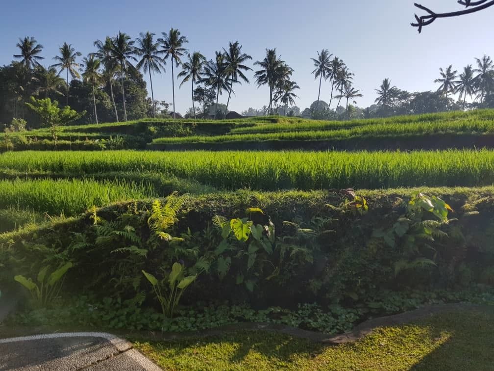 Puri Raya Villa