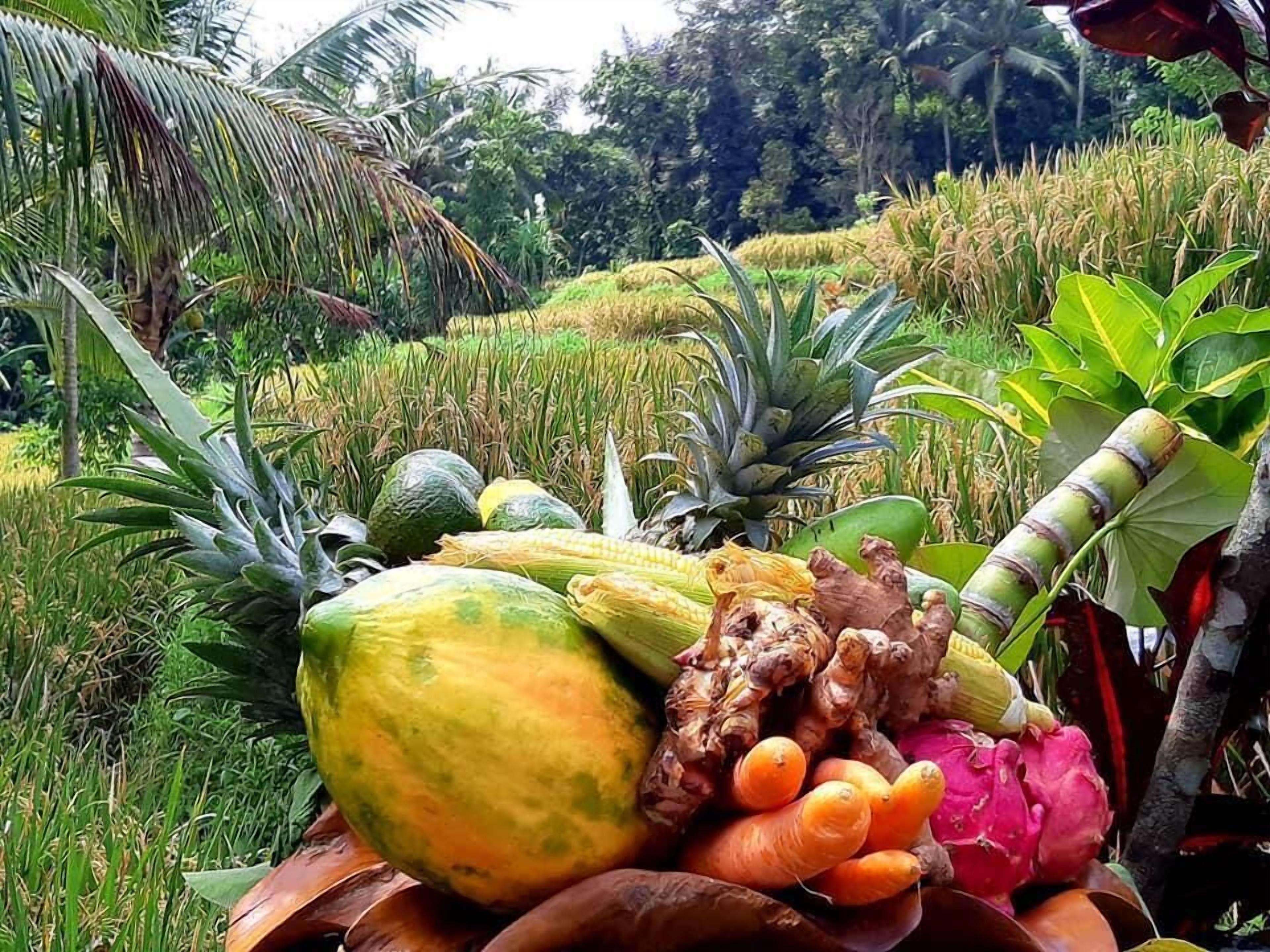Puri Raya Villa