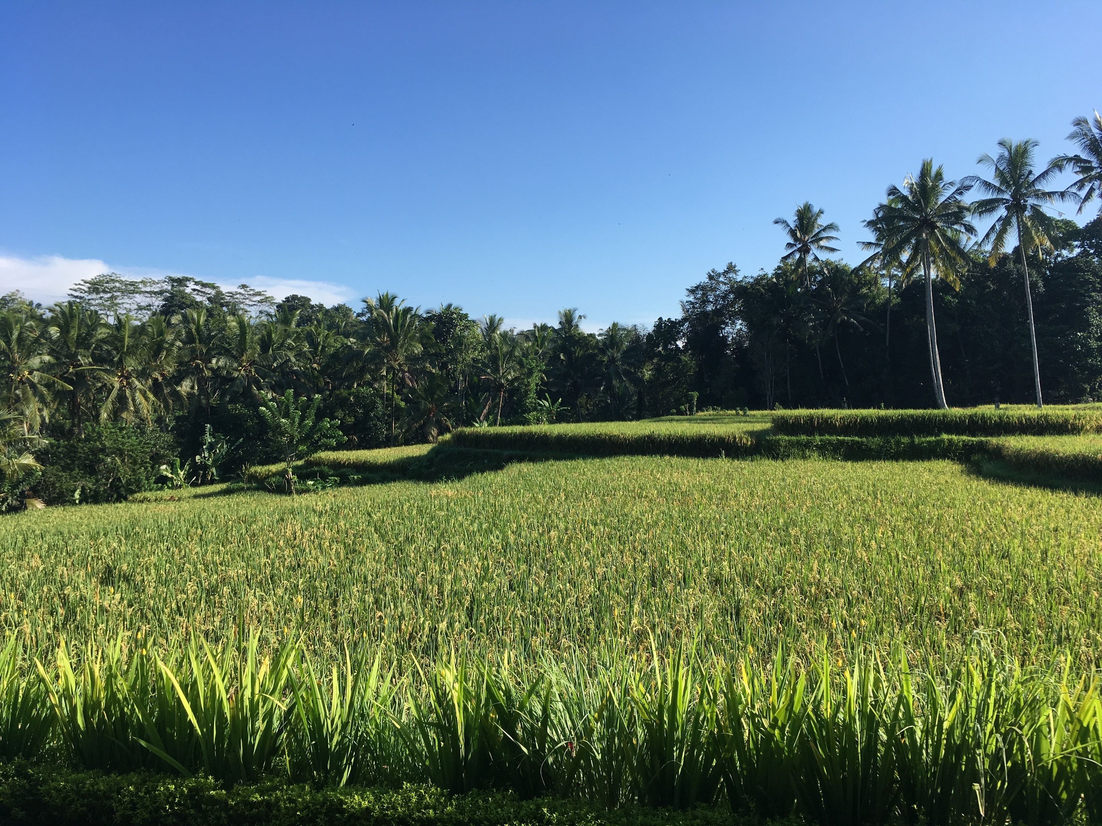 Puri Raya Villa