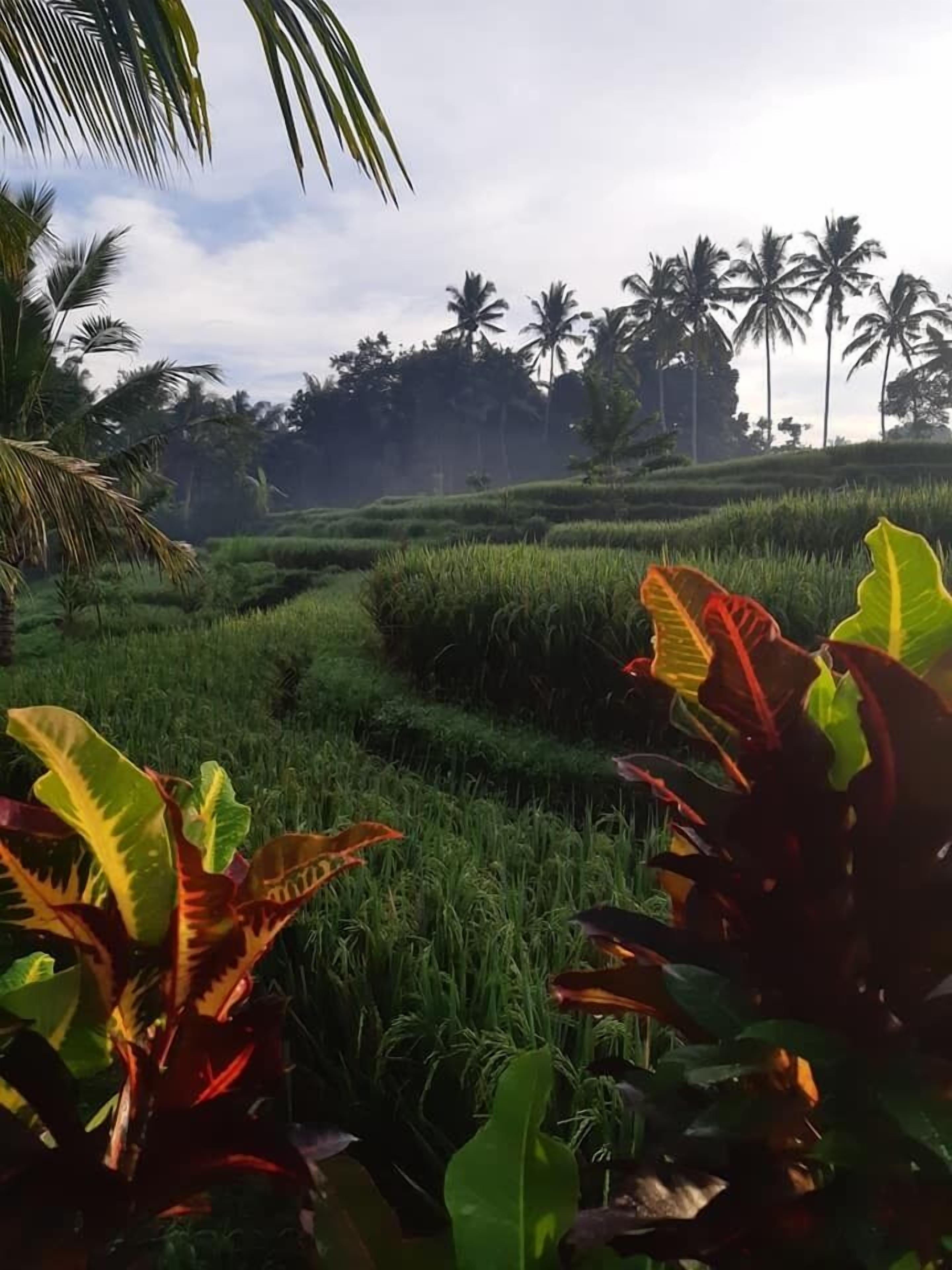 Puri Raya Villa